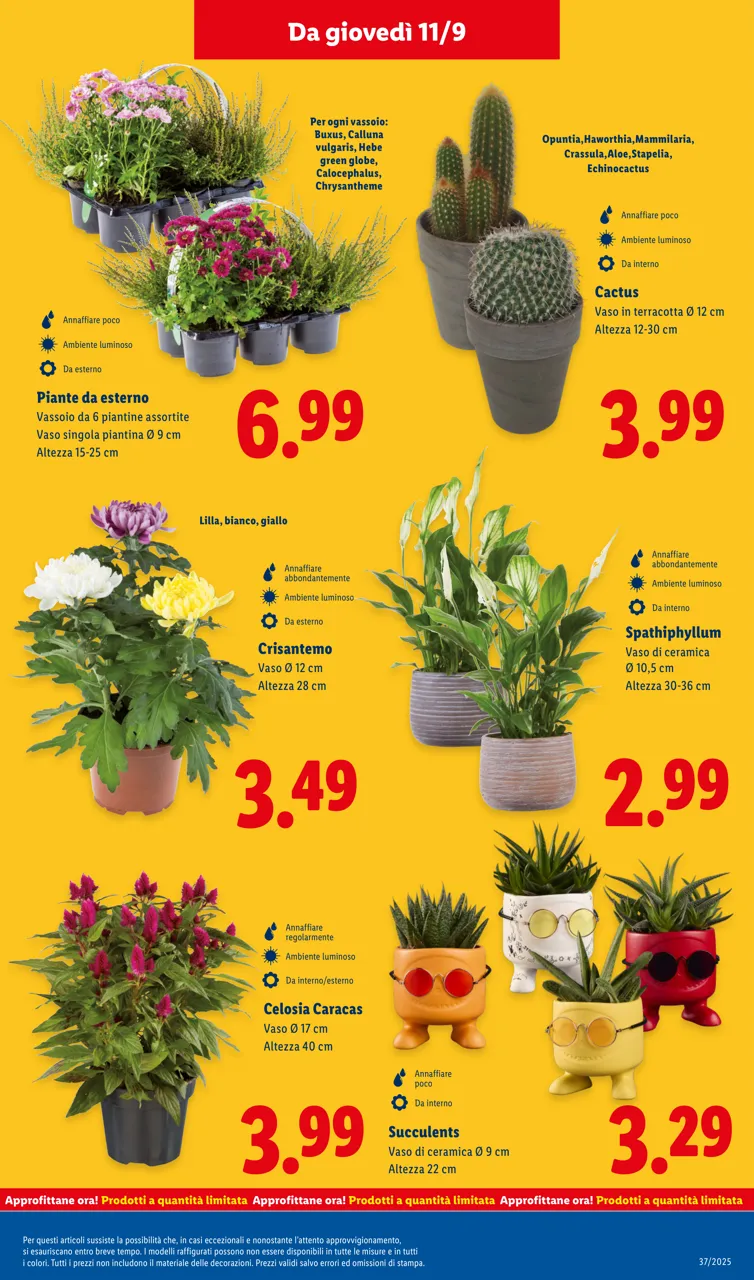 Pagina 29