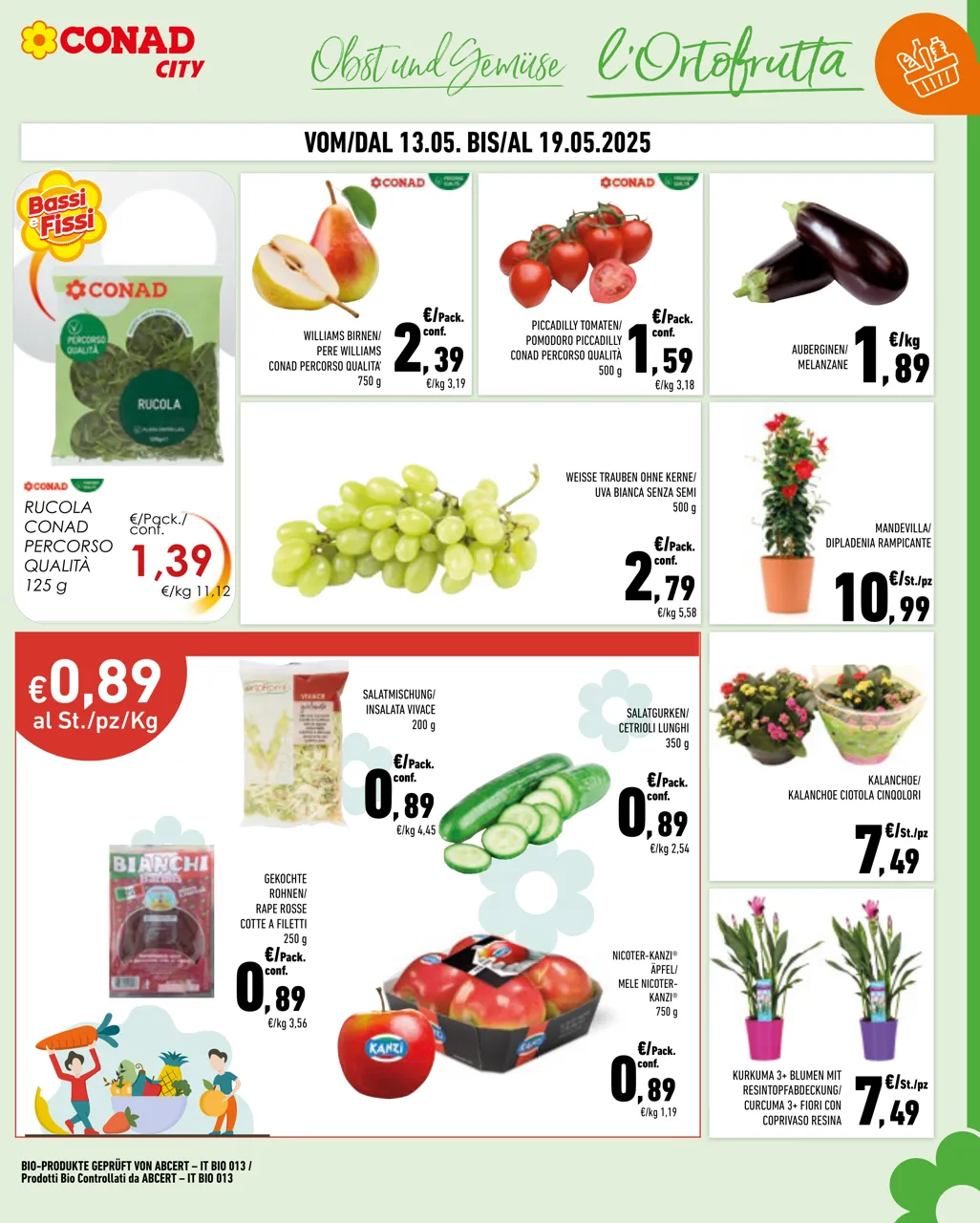 Pagina 3