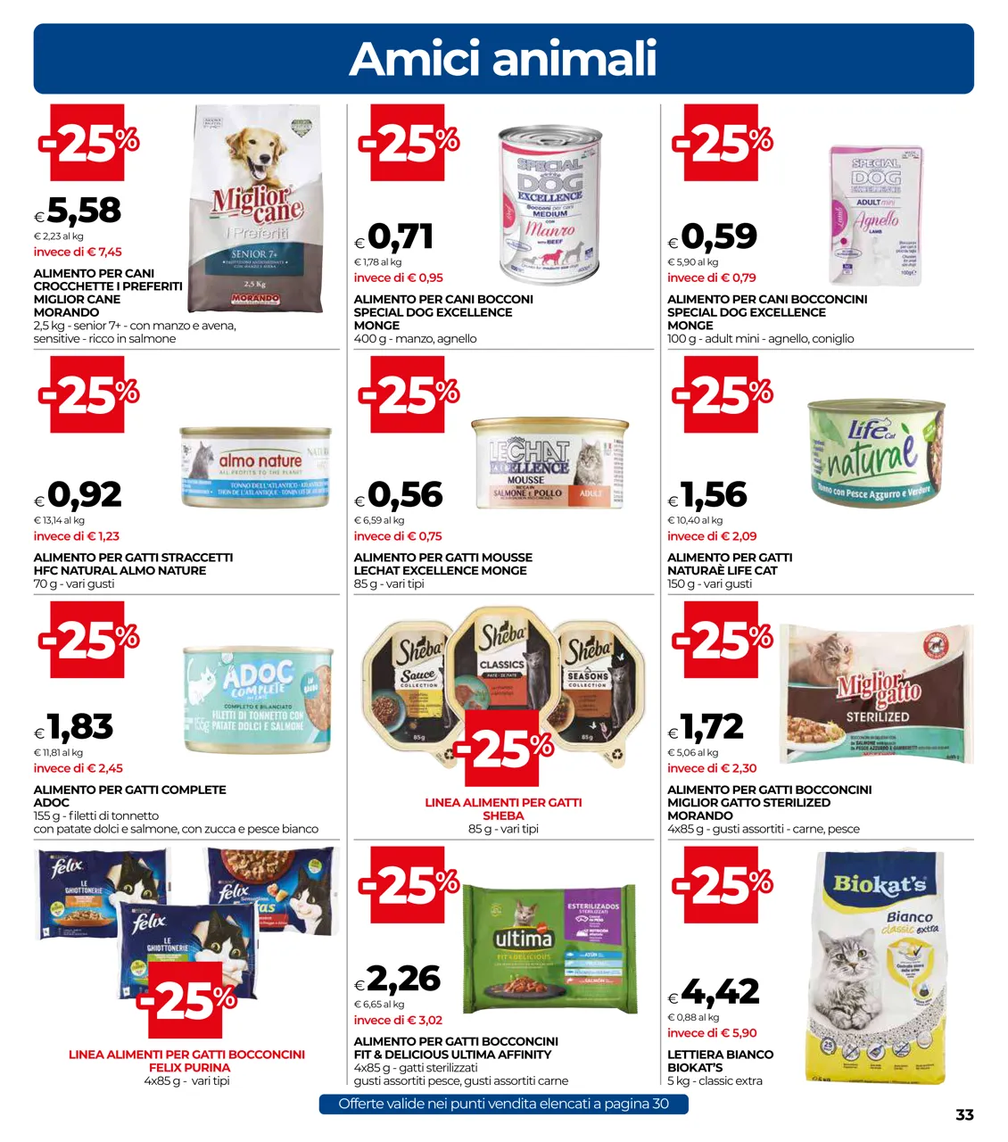 Pagina 33