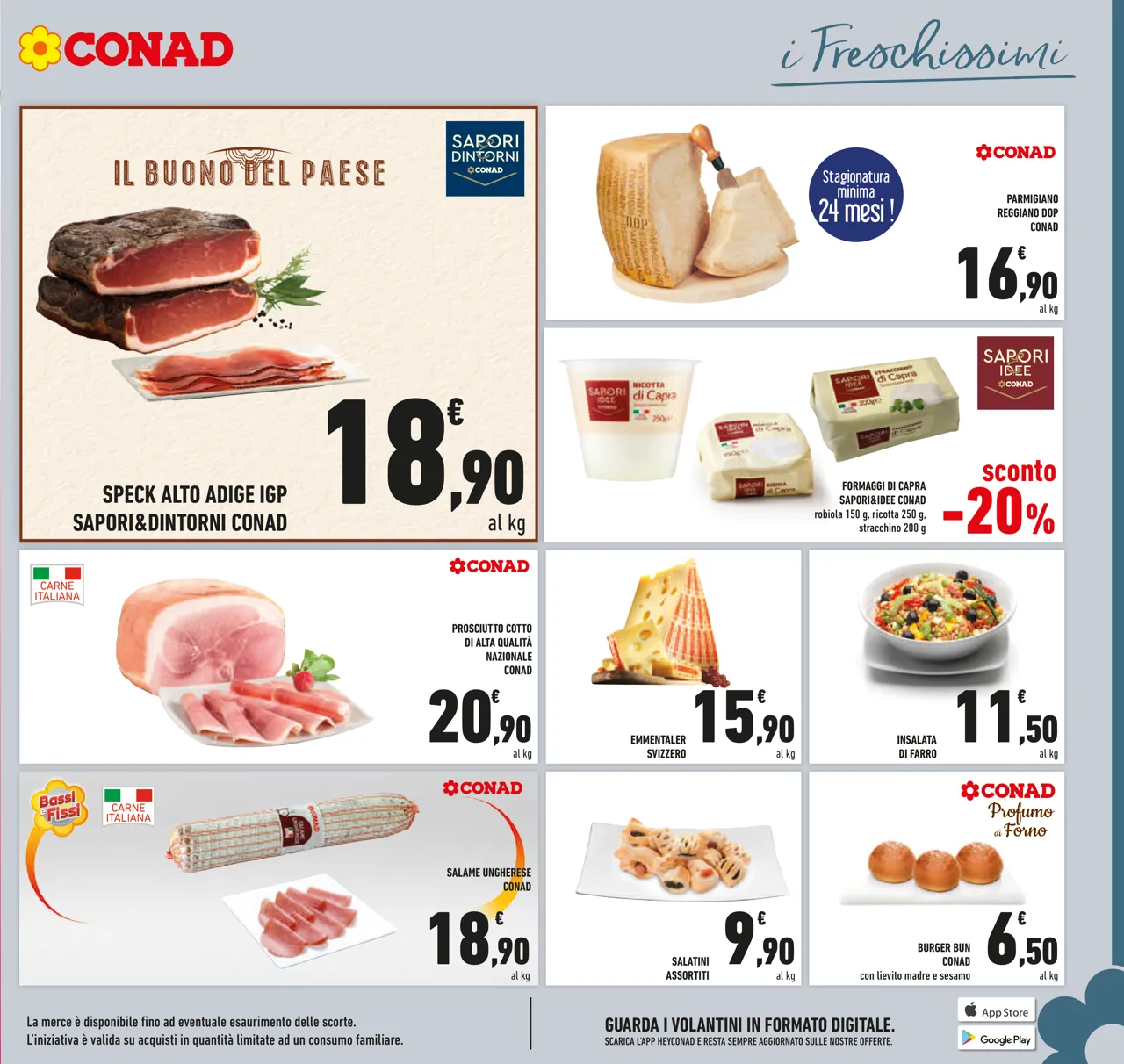 Pagina 11