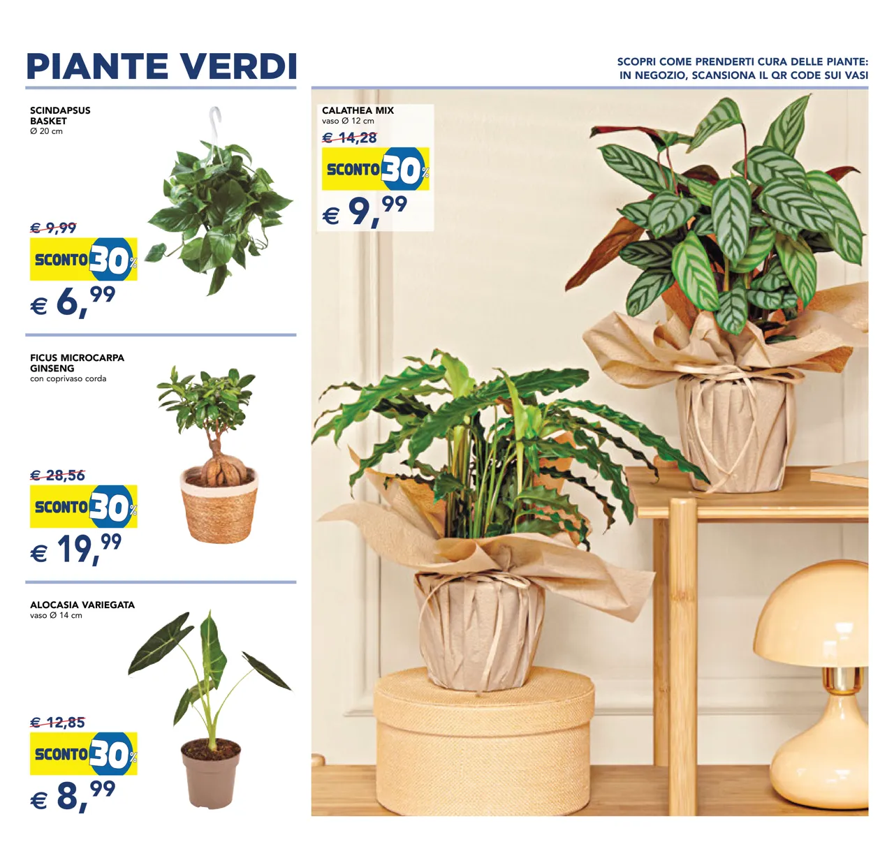Pagina 9