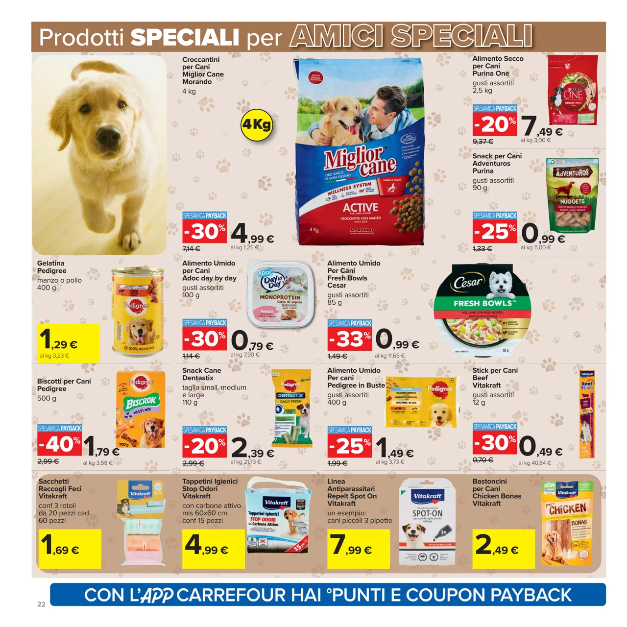 Pagina 22