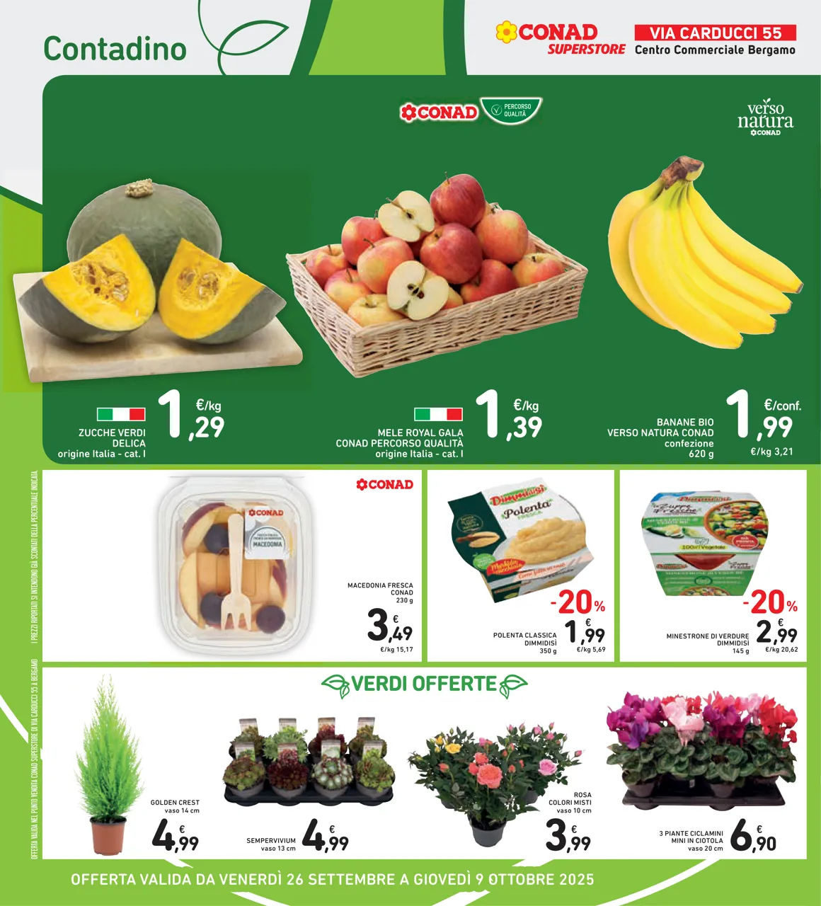 Pagina 6