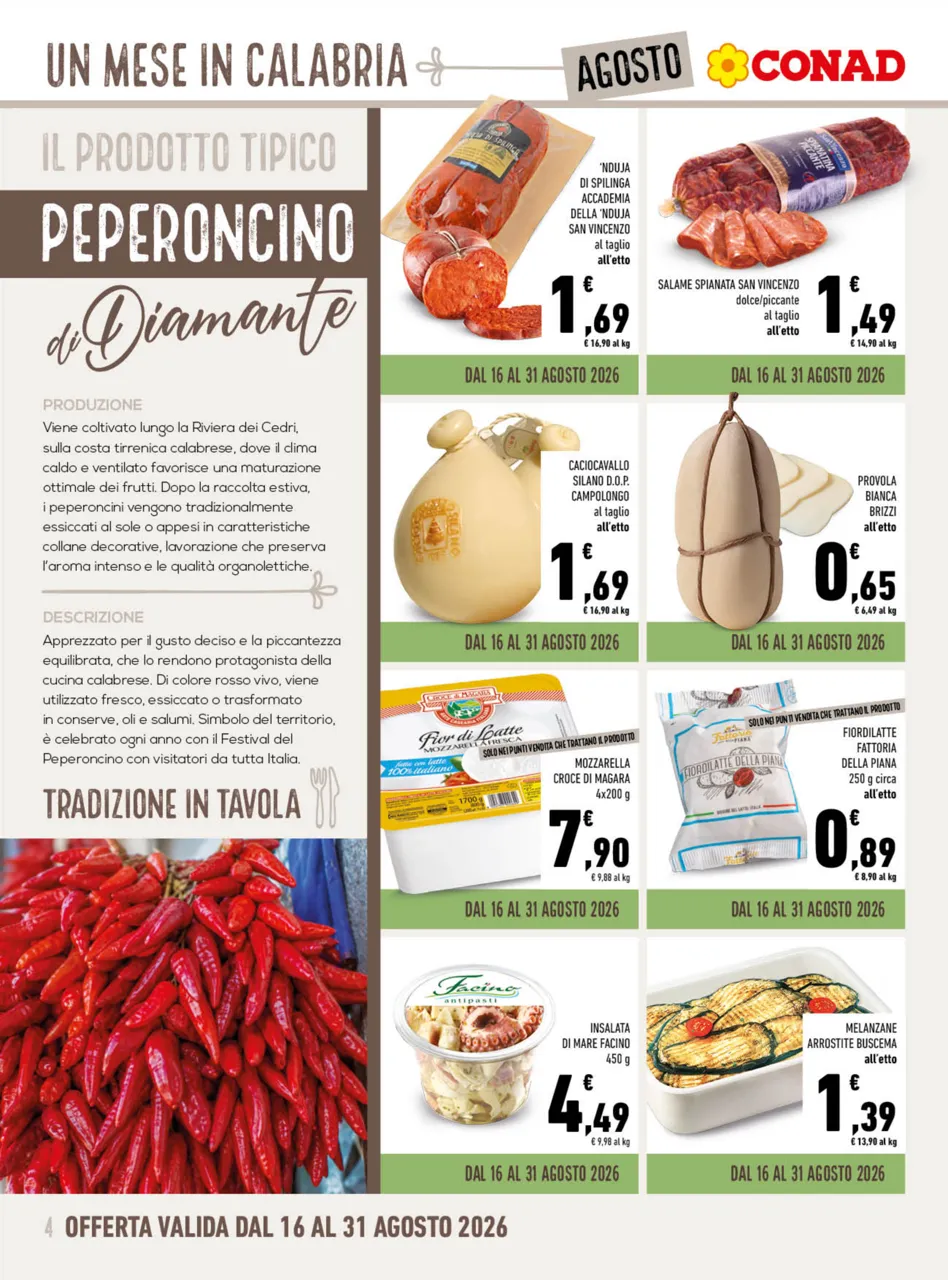 Pagina 4