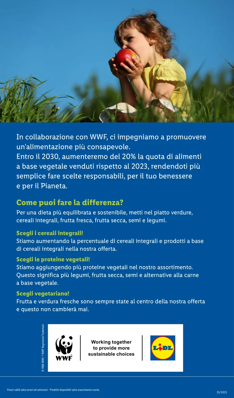 Pagina 29