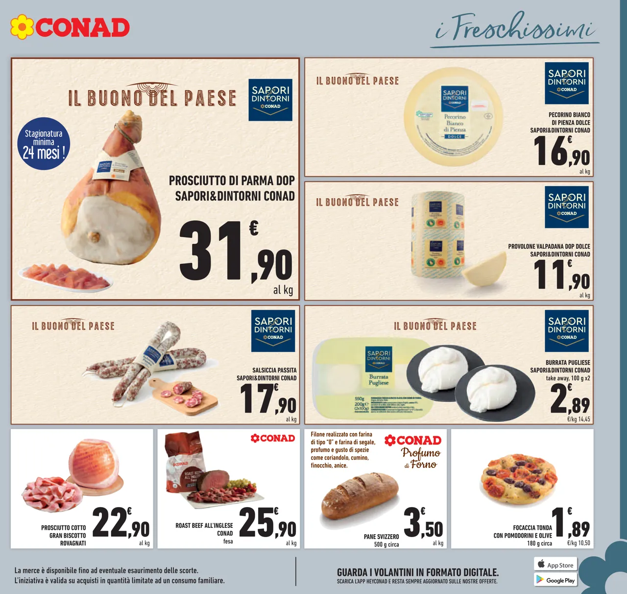 Pagina 11