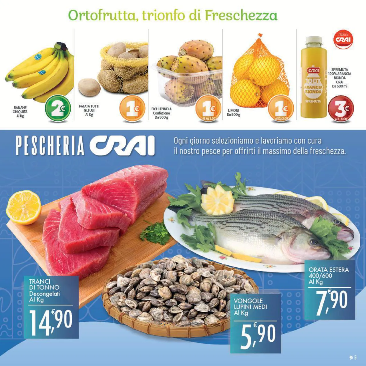 Pagina 5