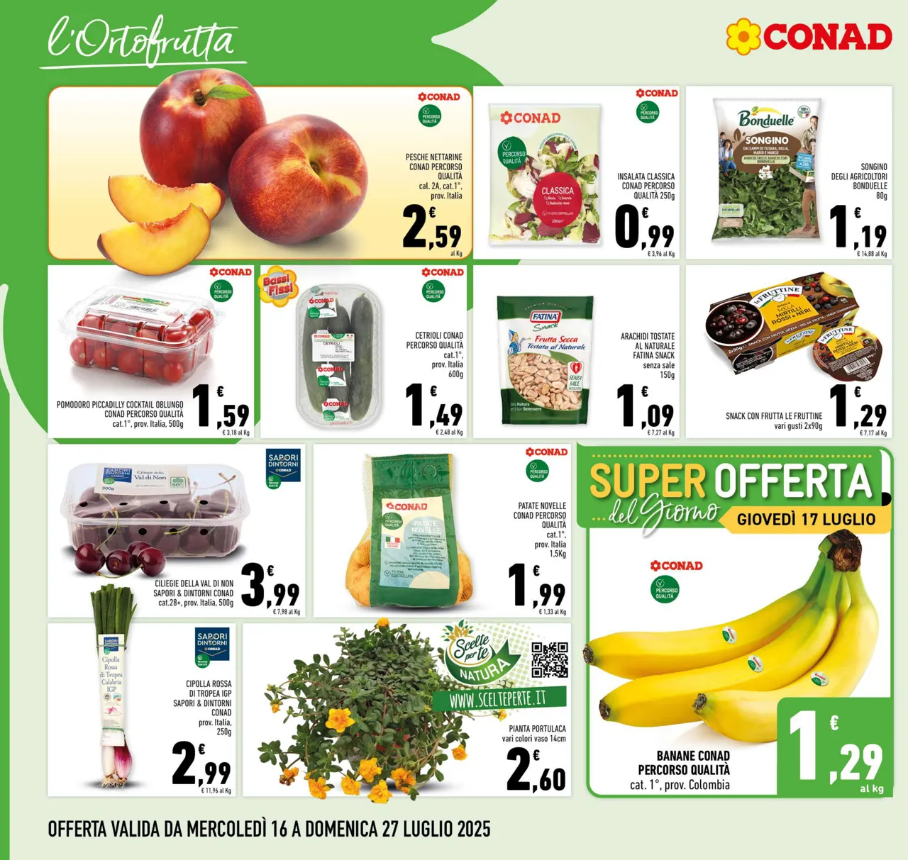 Pagina 2