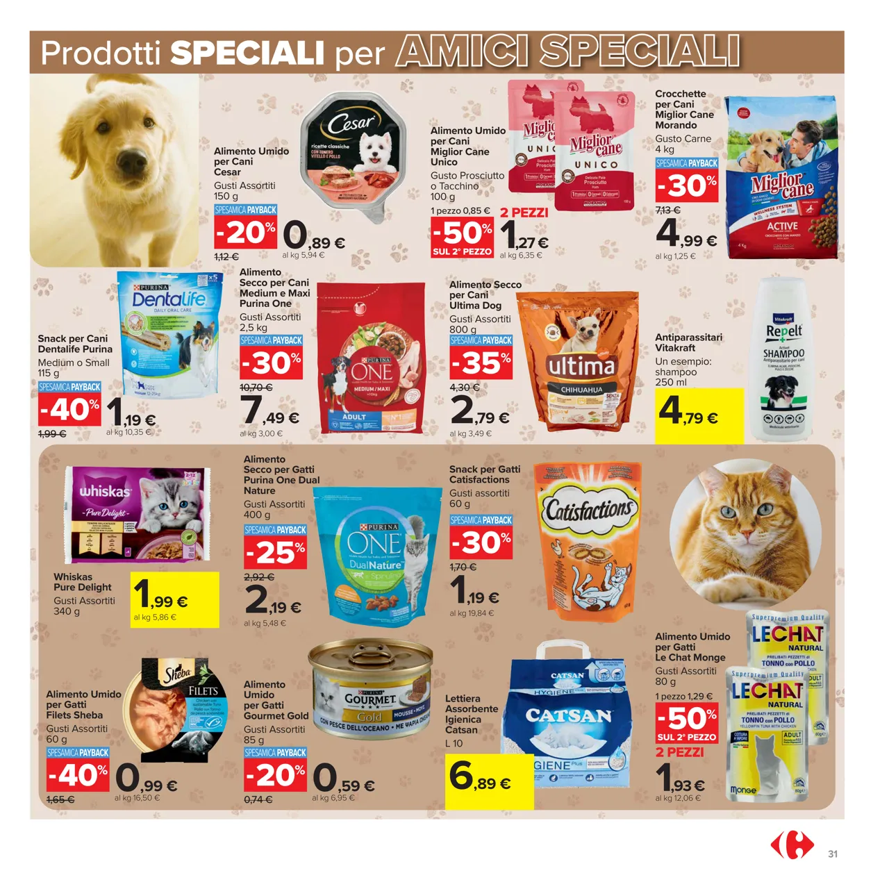 Pagina 31