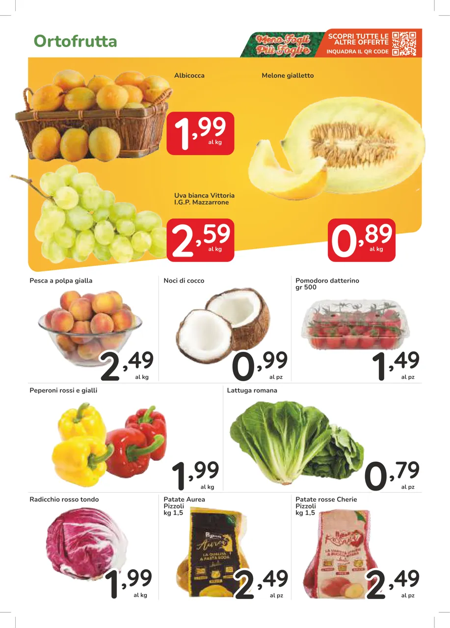 Pagina 7