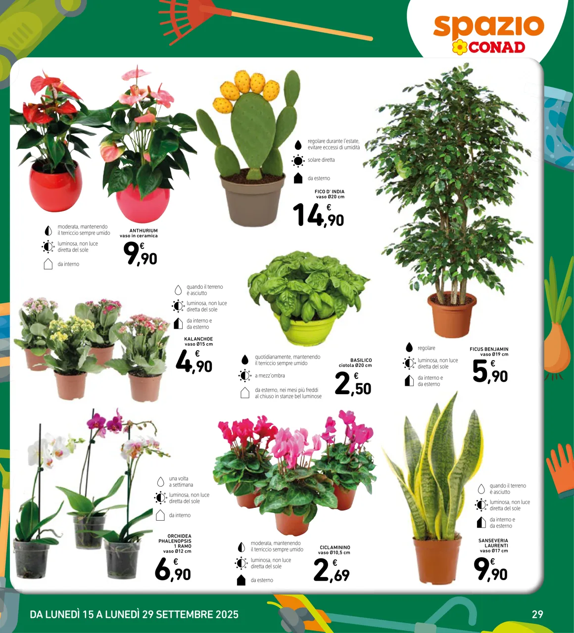 Pagina 29