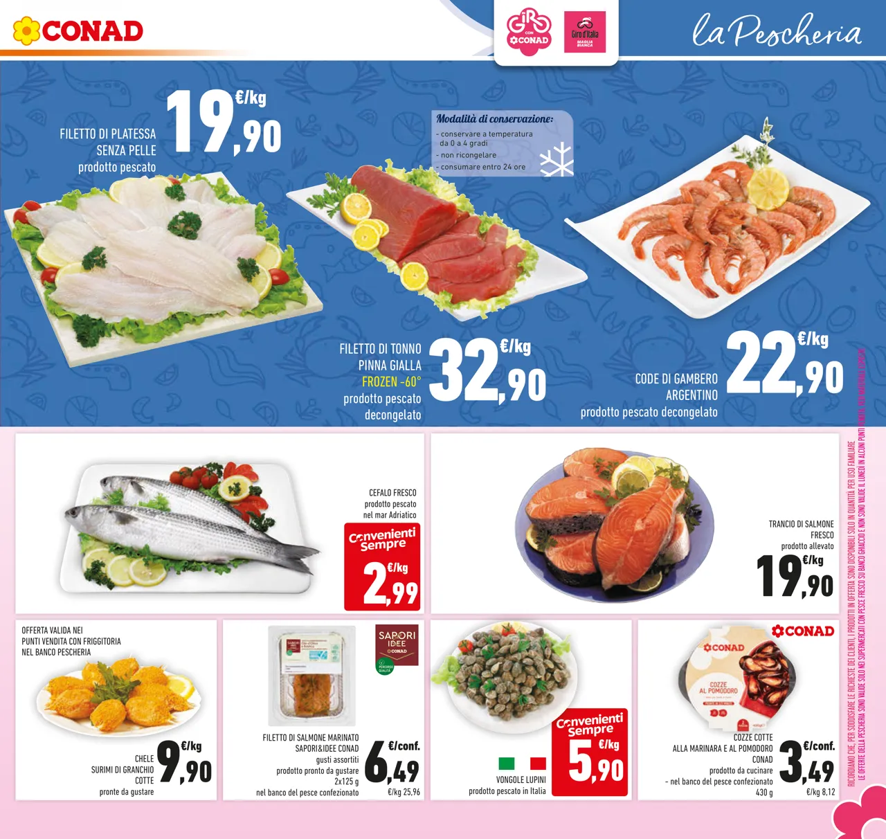 Pagina 29