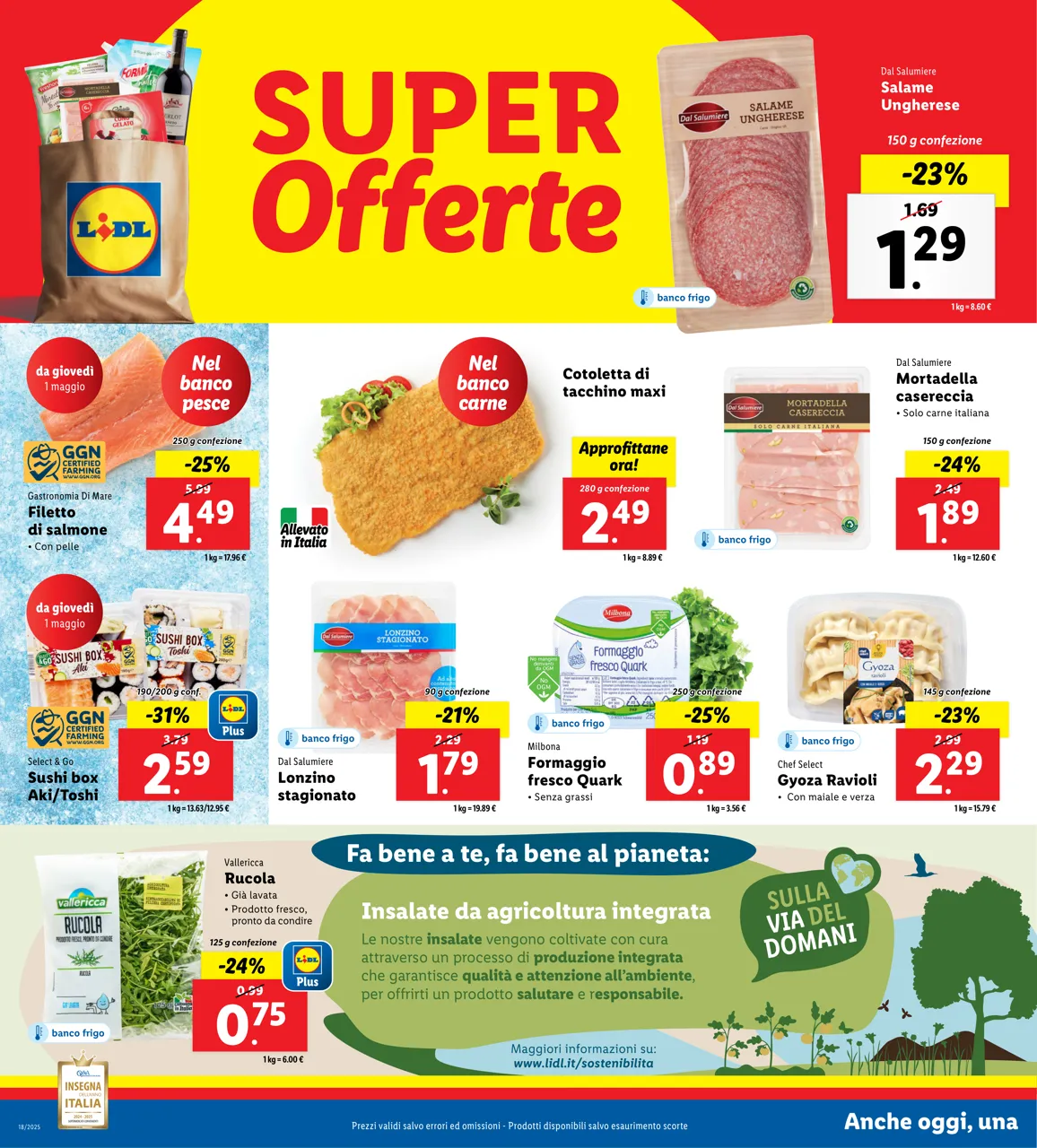 Pagina 8