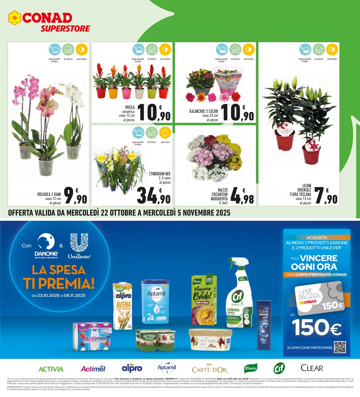 Pagina 27
