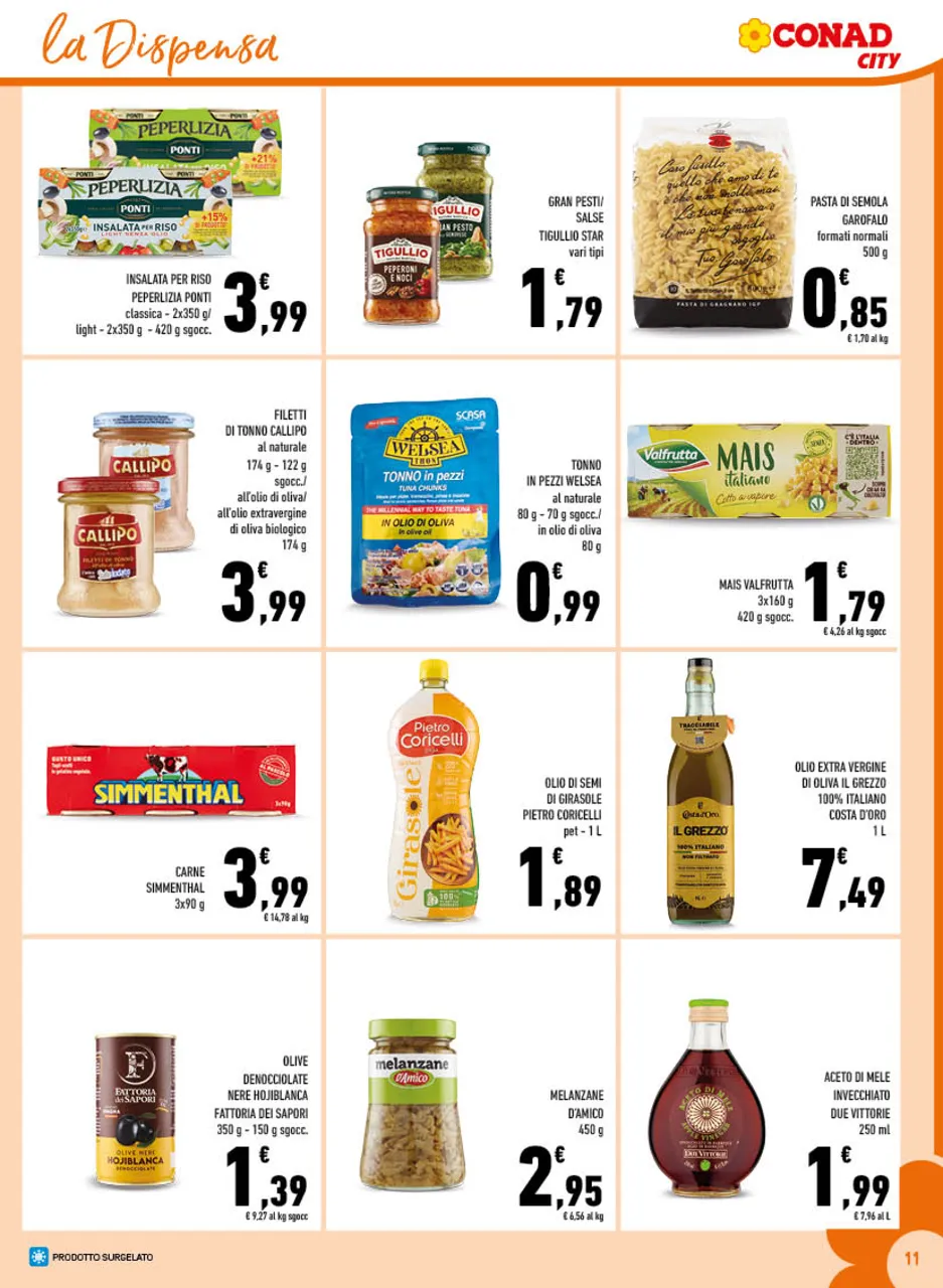 Pagina 11