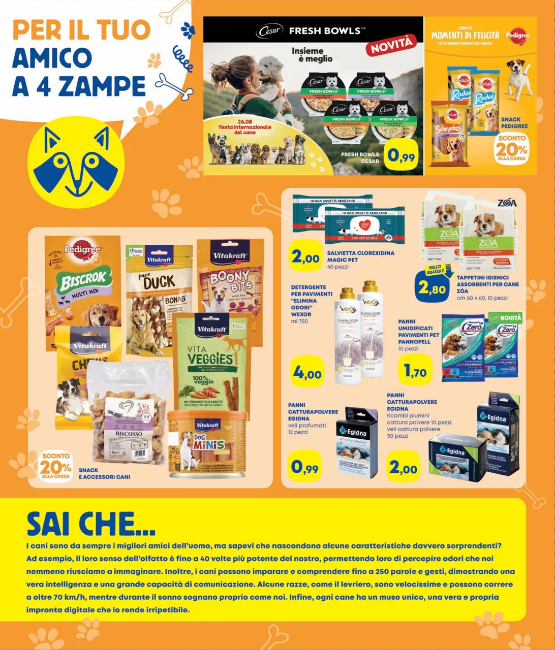 Pagina 8
