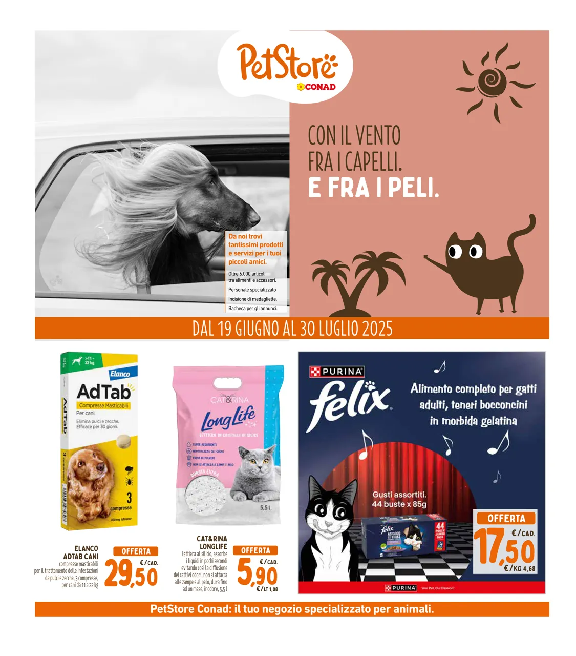 Pagina 32