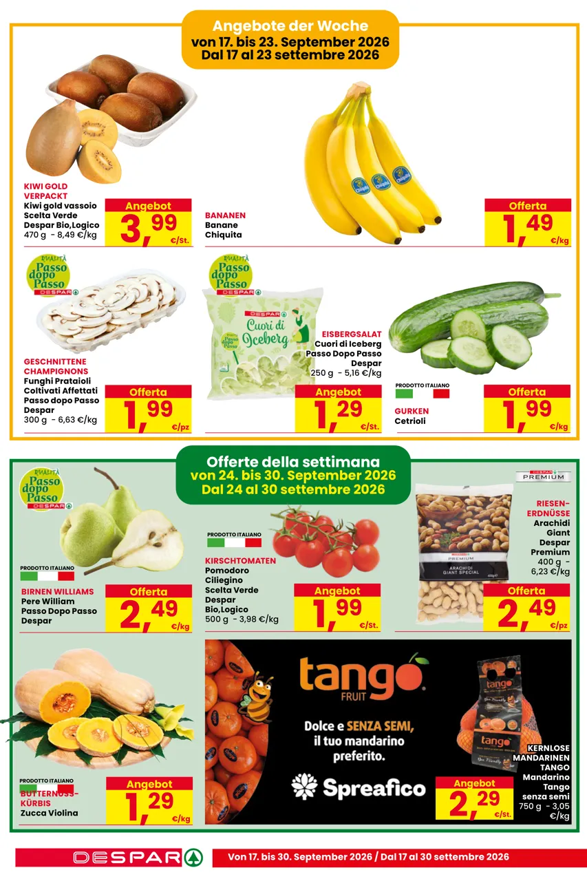 Pagina 4