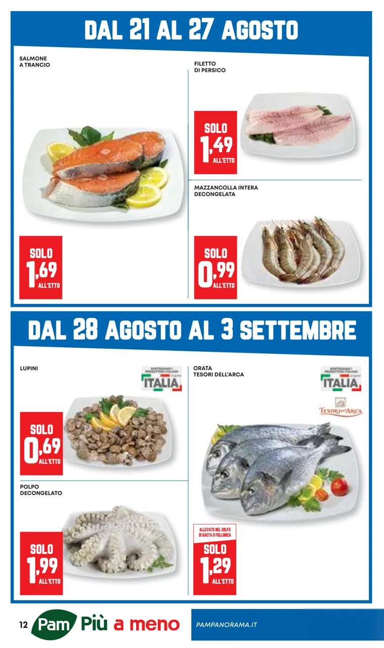 Pagina 12