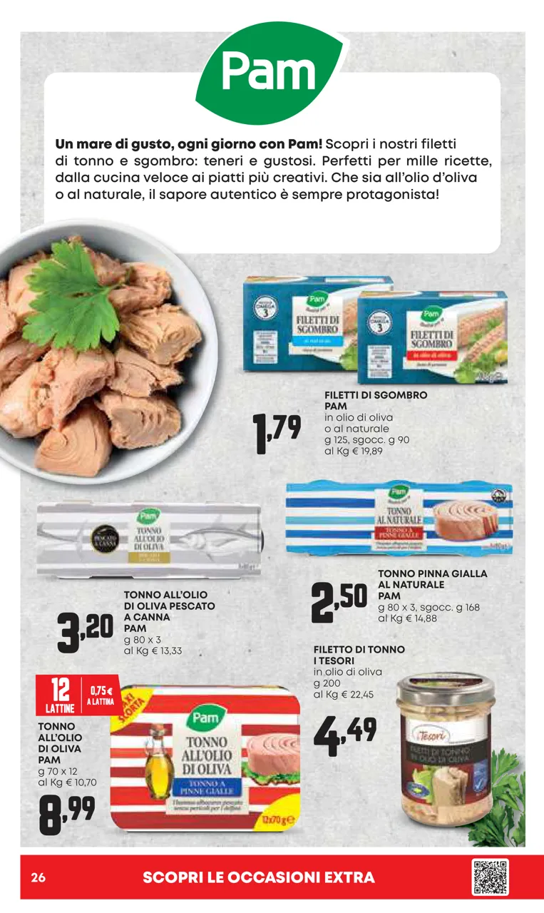 Pagina 26