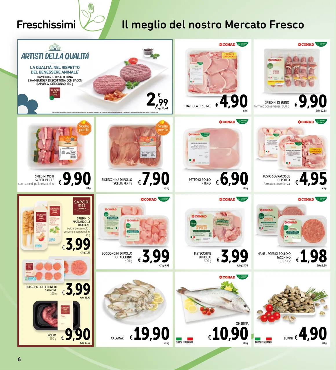 Pagina 6