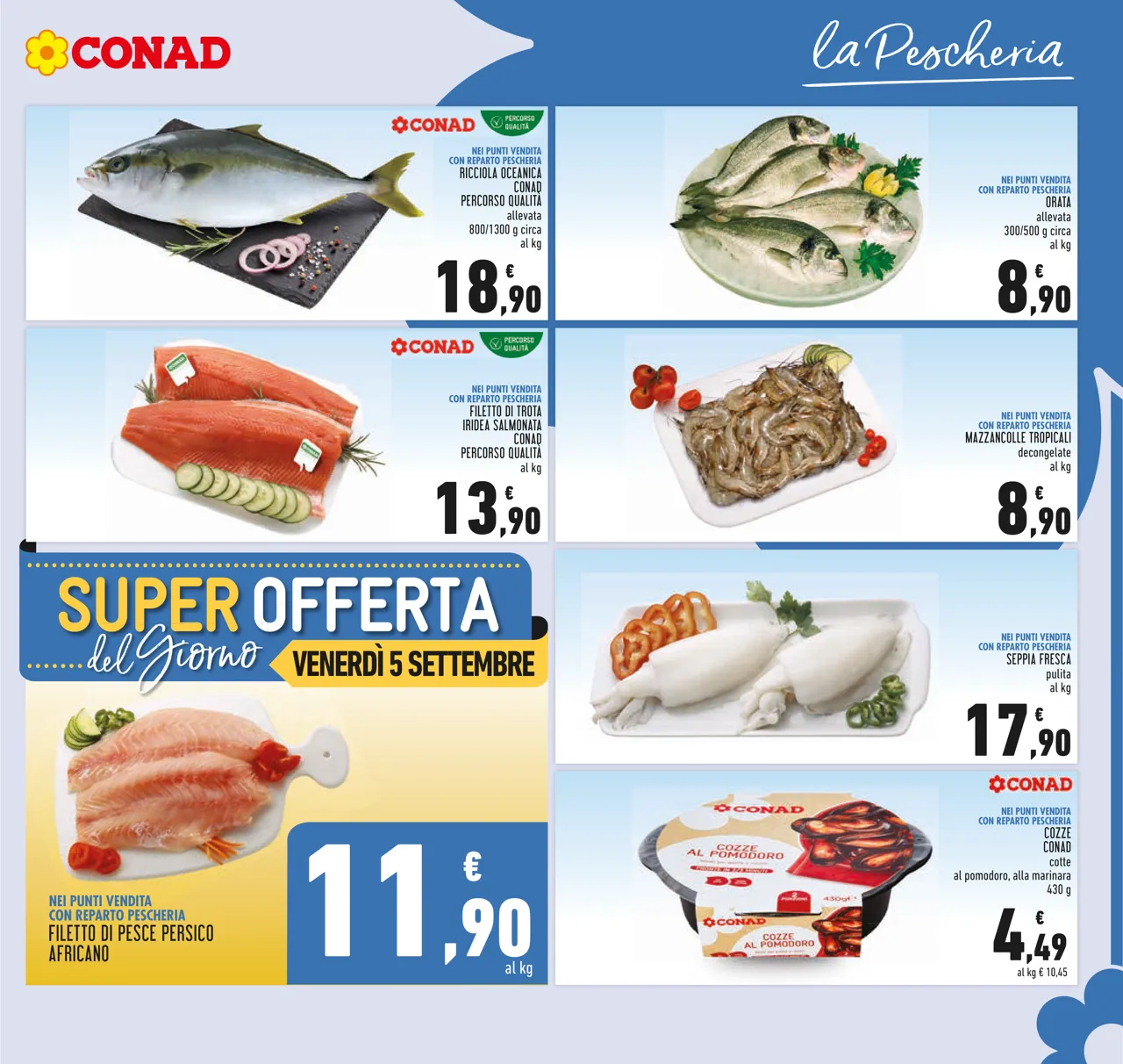 Pagina 7