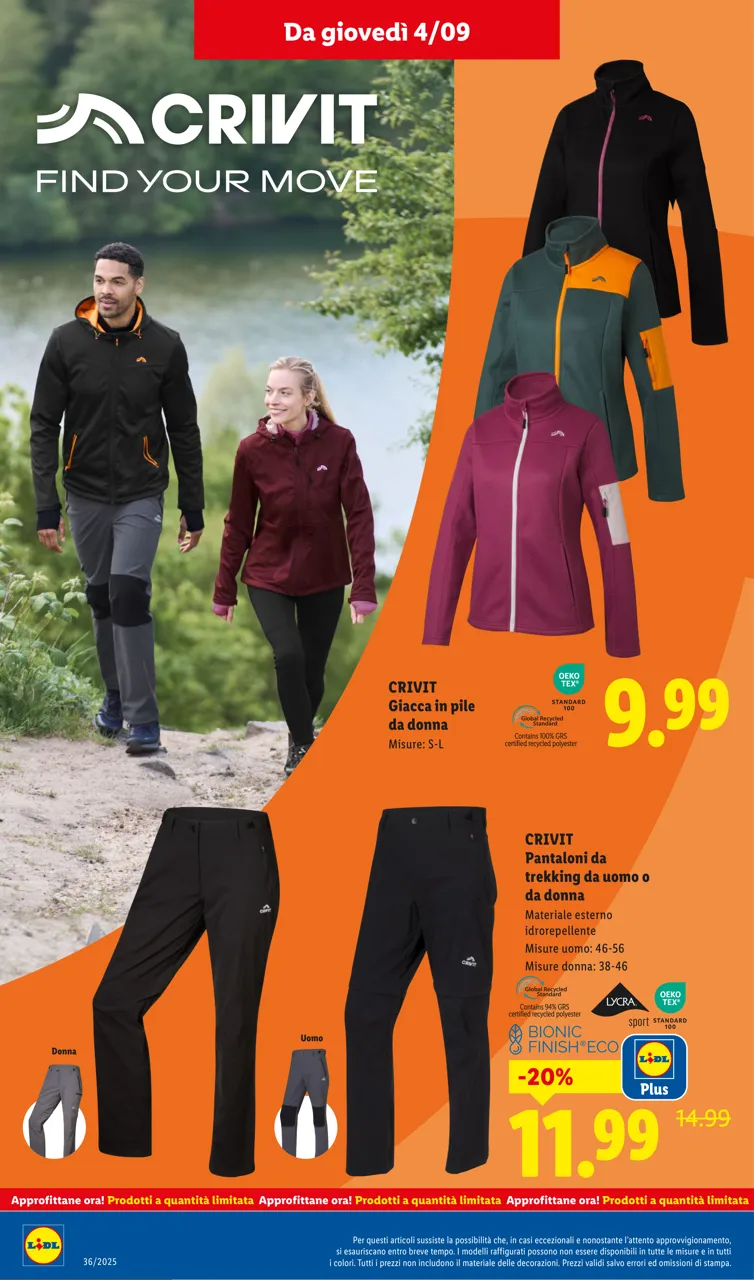 Pagina 42