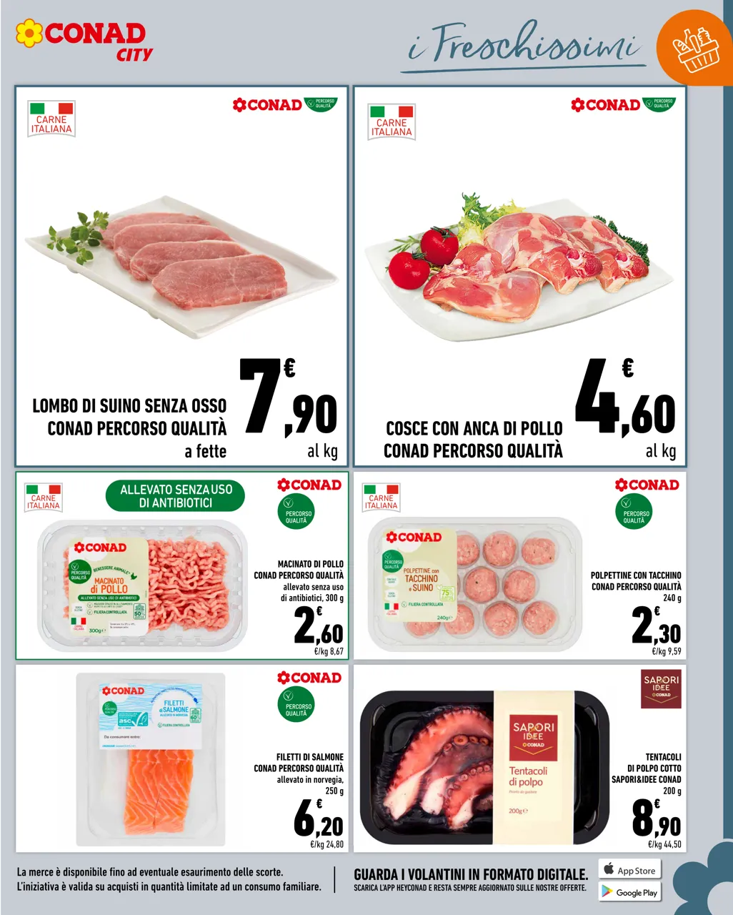 Pagina 11