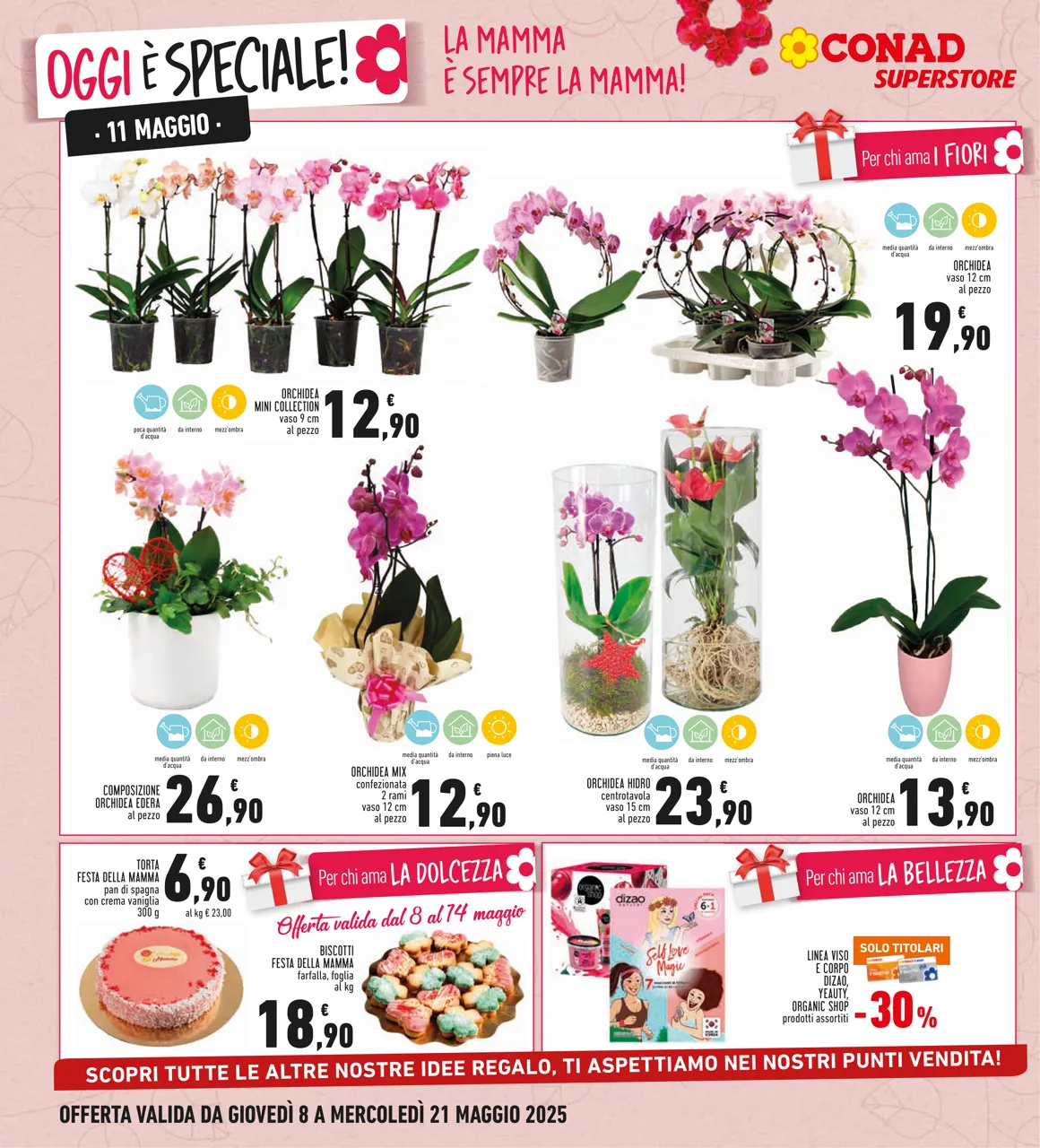 Pagina 8