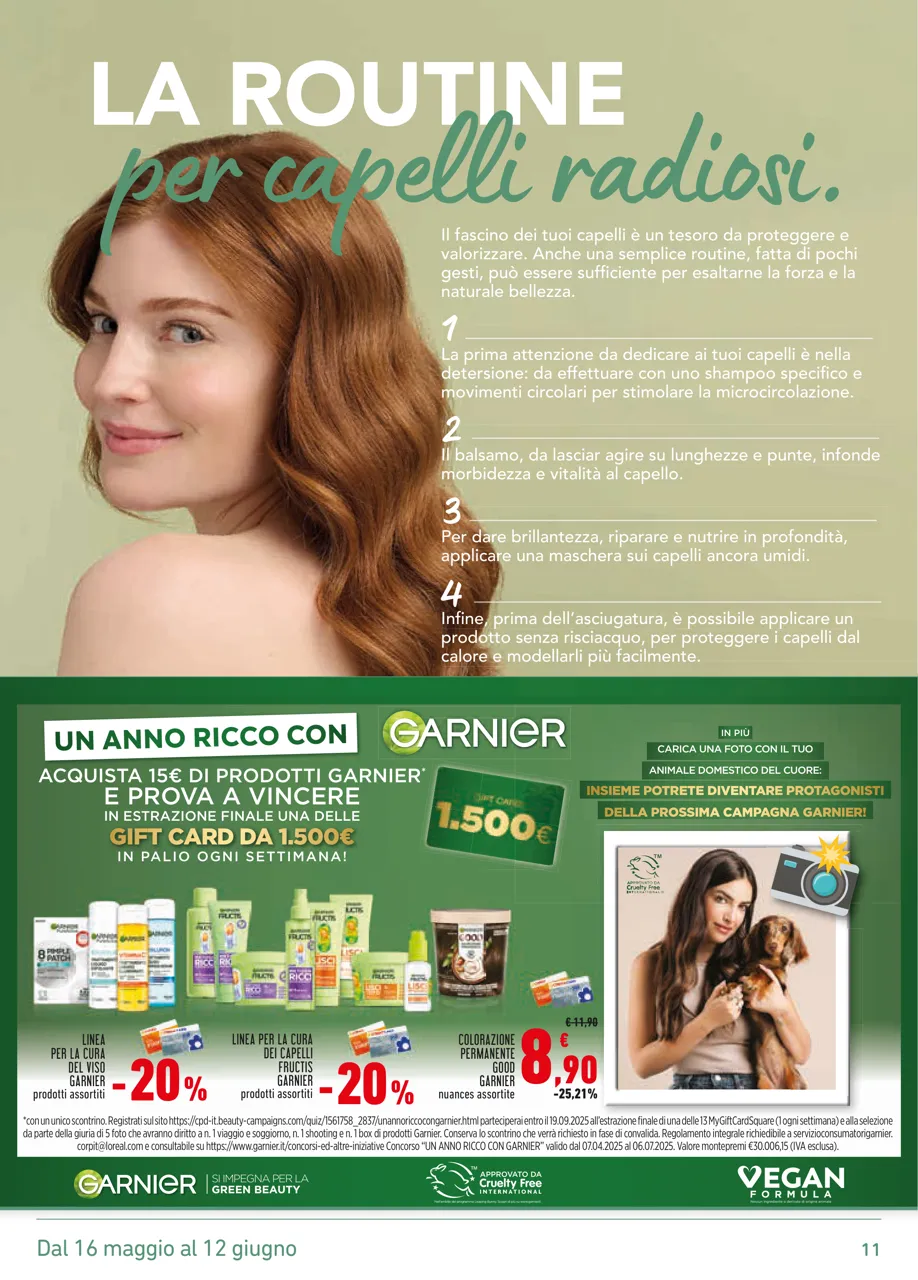 Pagina 11