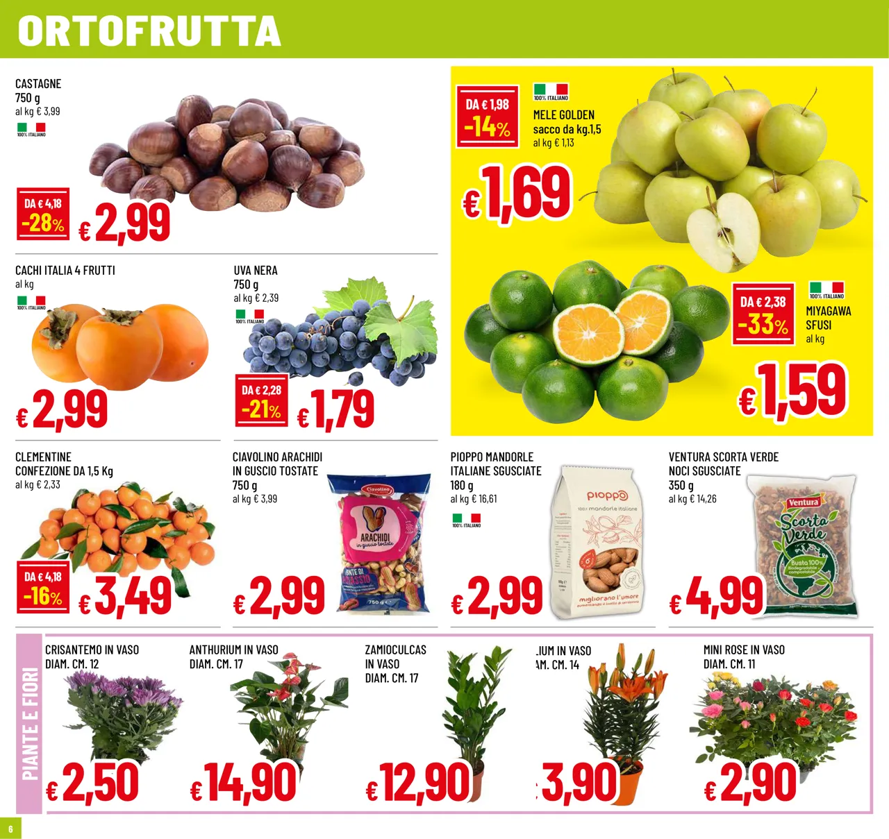 Pagina 6
