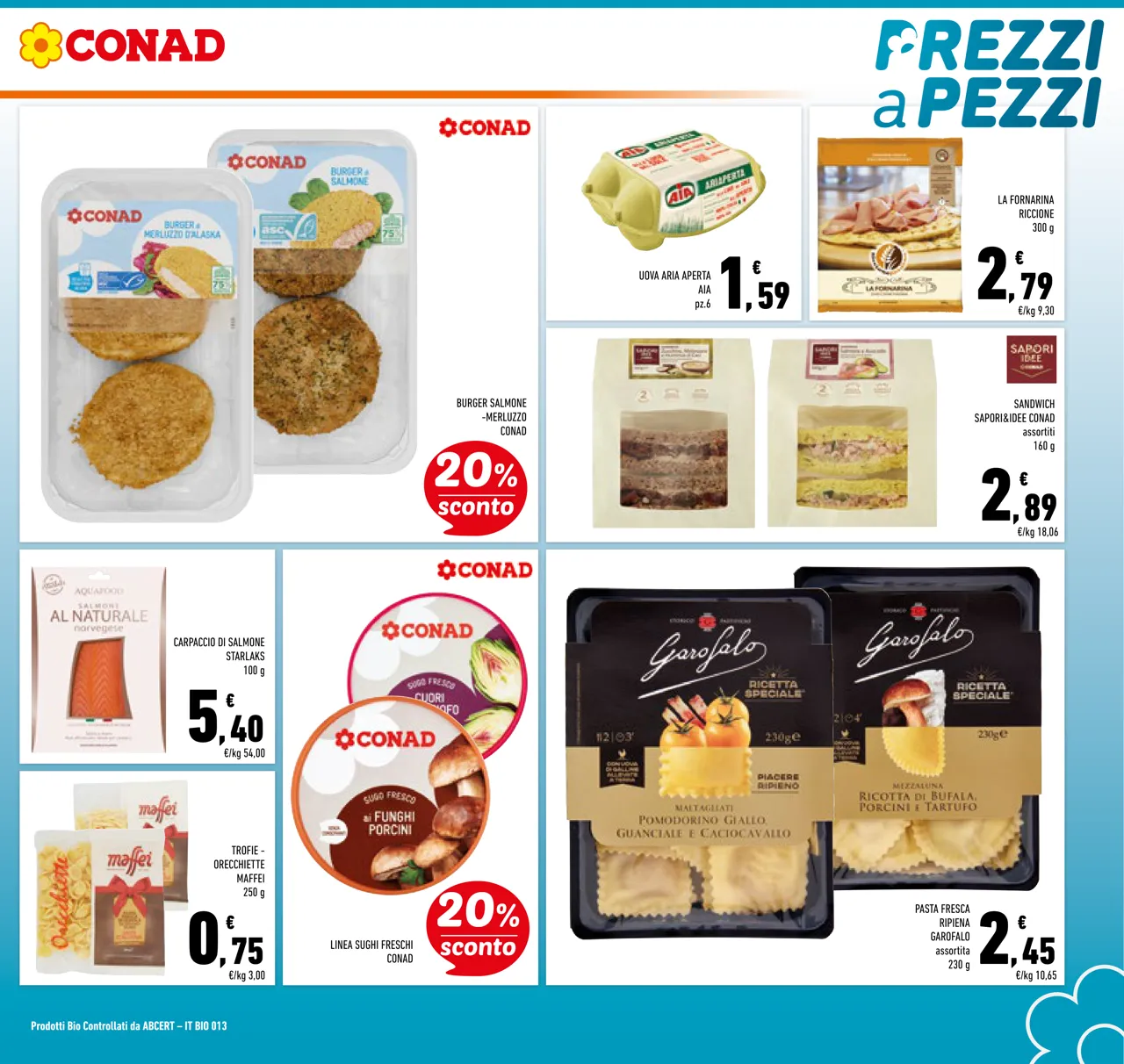 Pagina 13