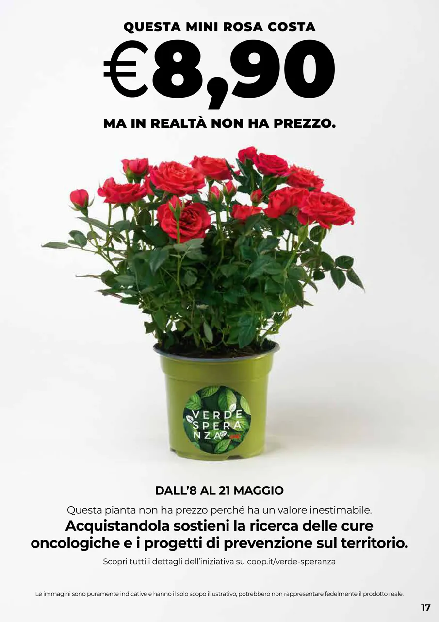 Pagina 17