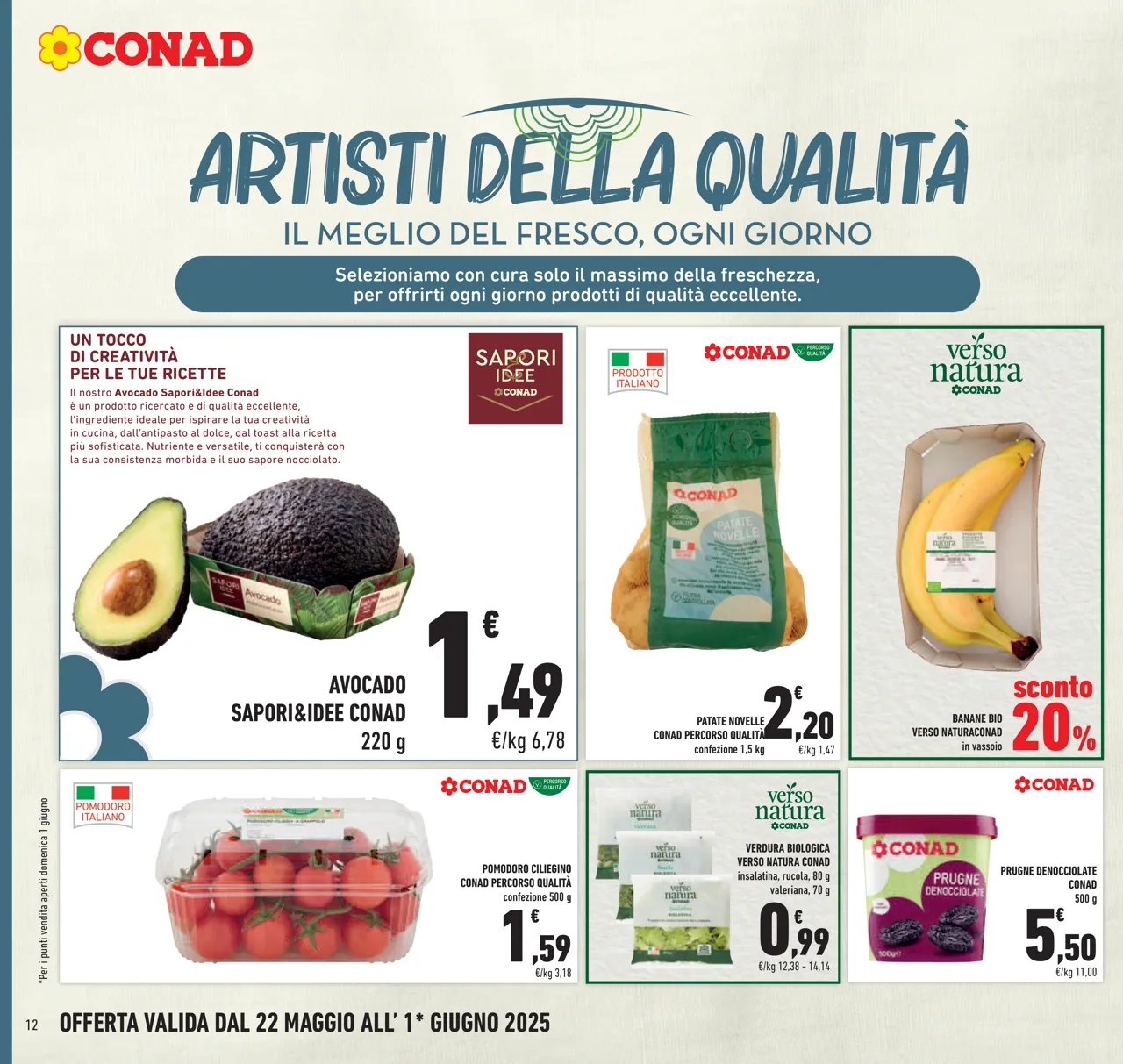 Pagina 12