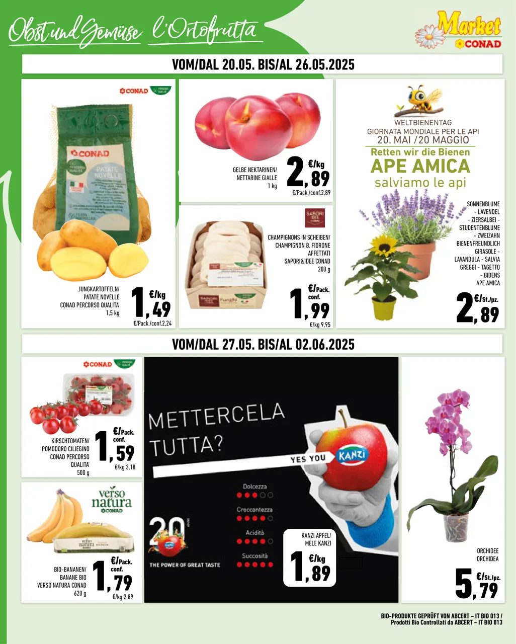 Pagina 4