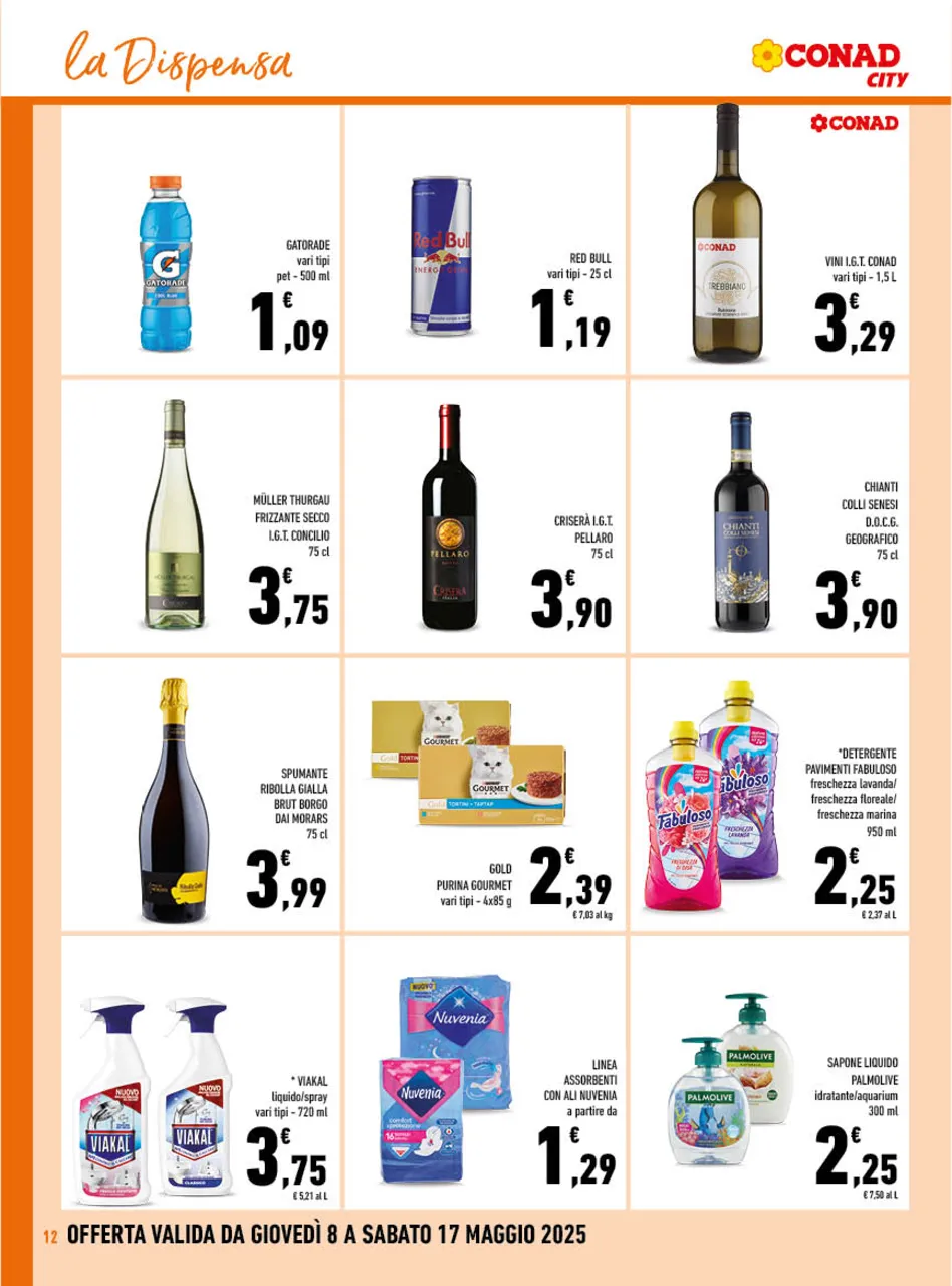Pagina 12