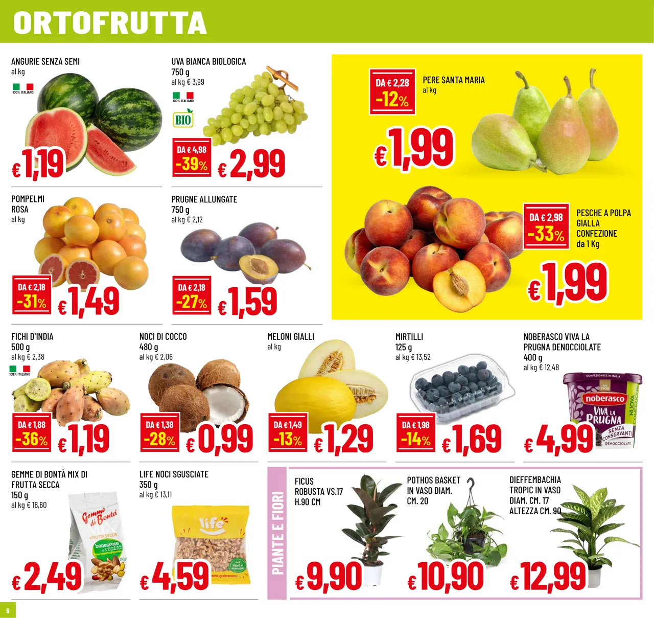 Pagina 6