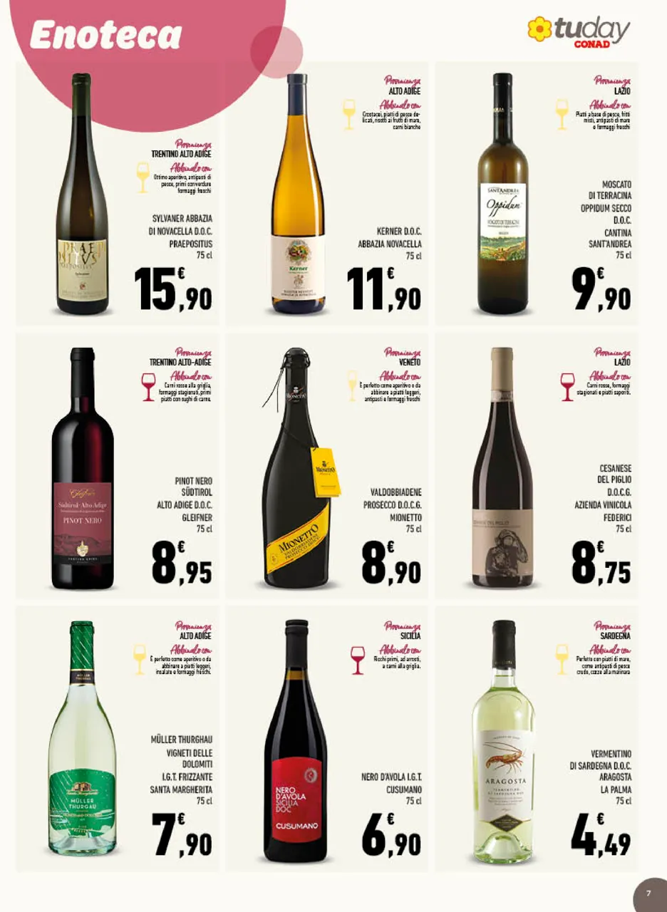 Pagina 7