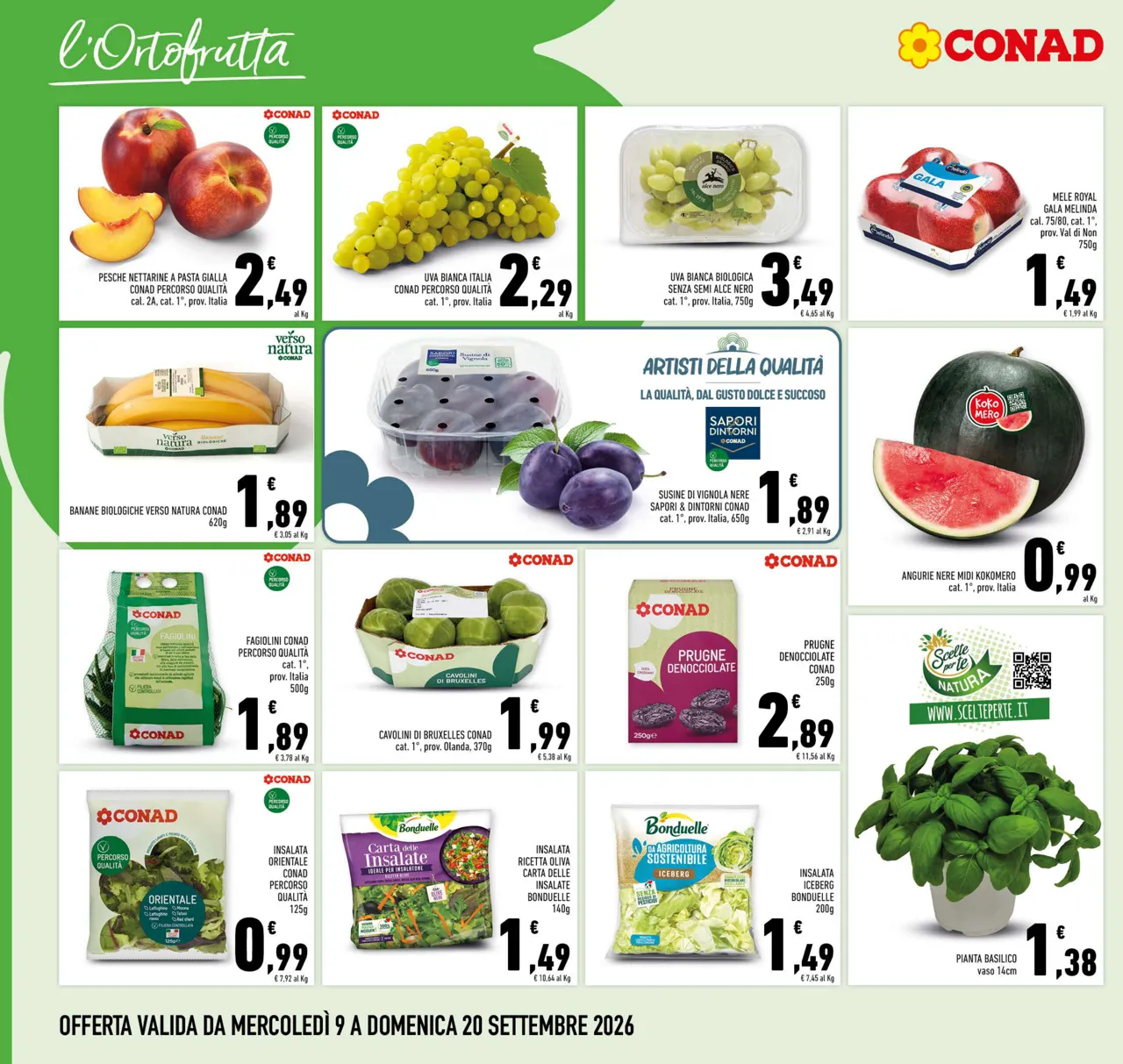 Pagina 4