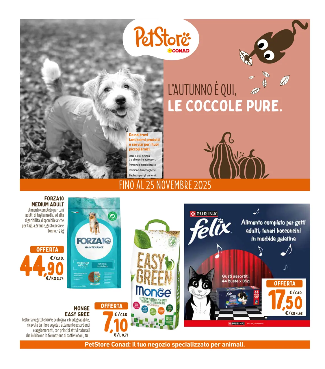 Pagina 32