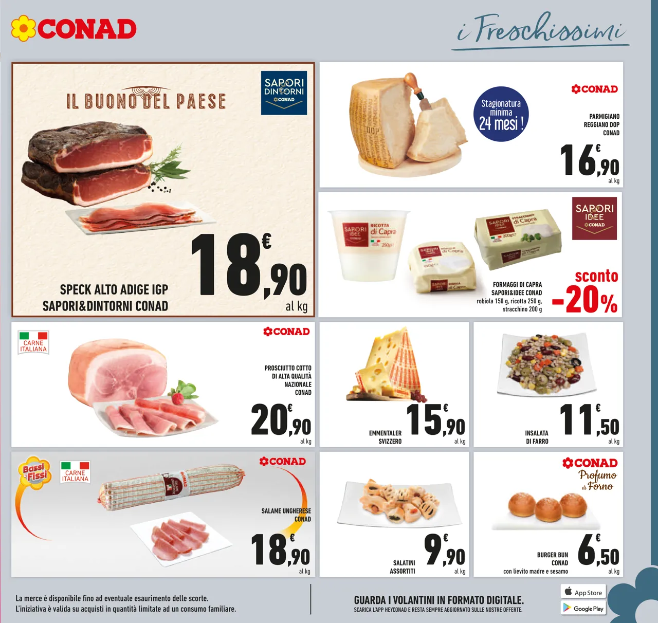 Pagina 11