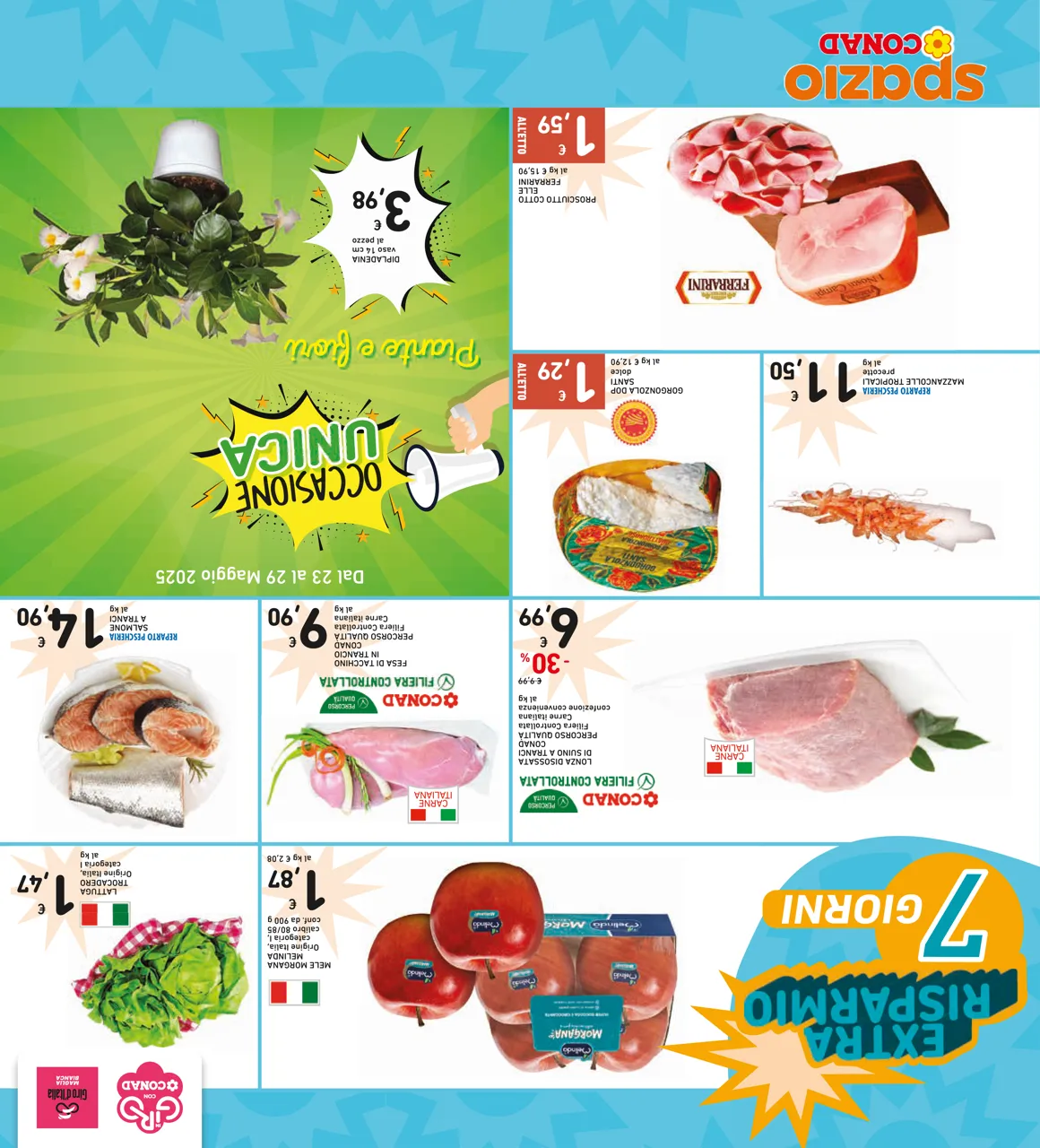 Pagina 32