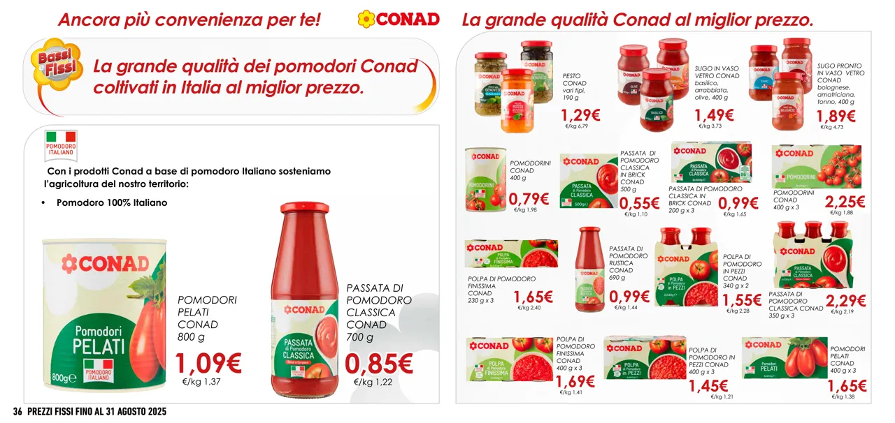 Pagina 19