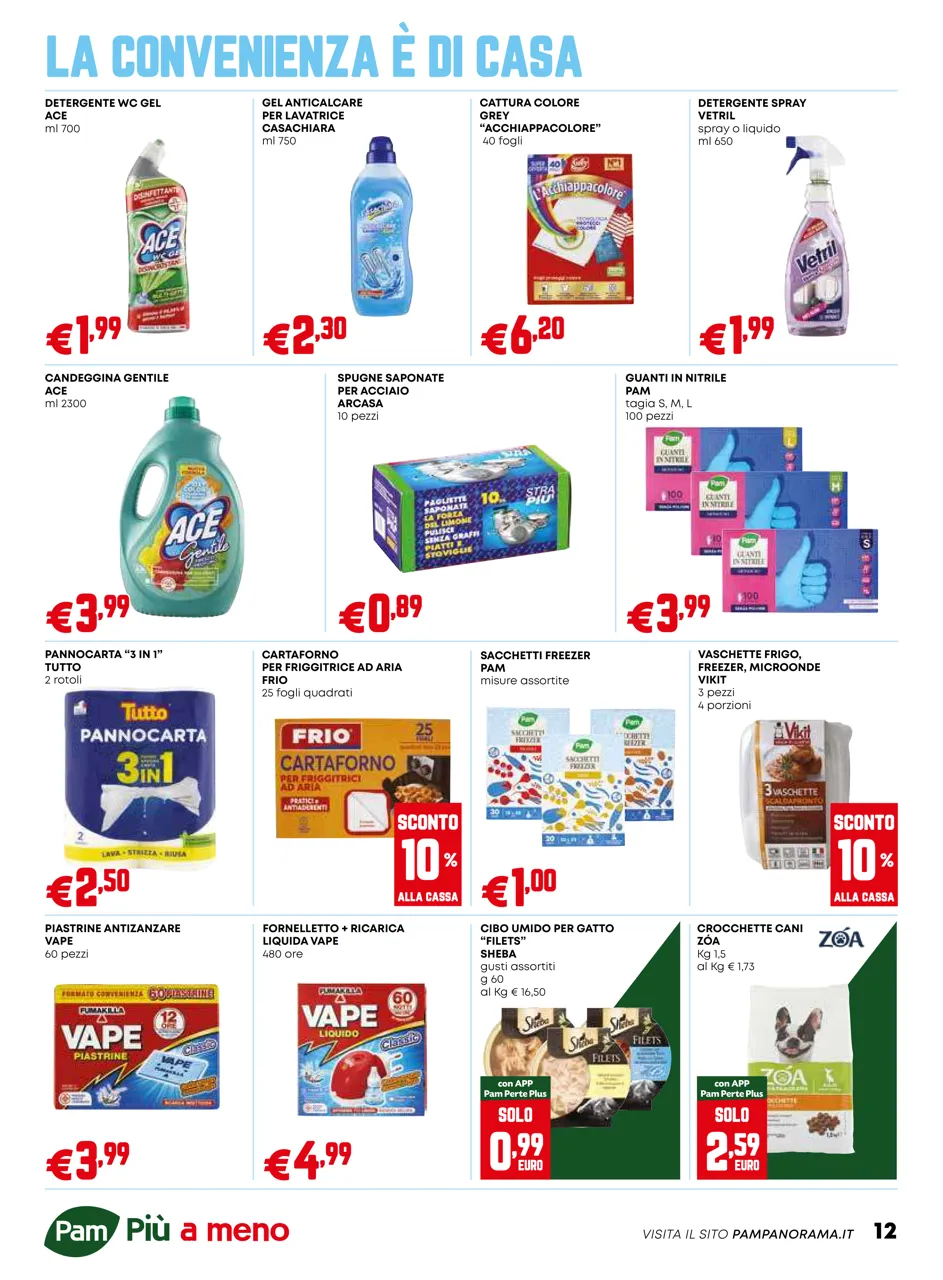 Pagina 12