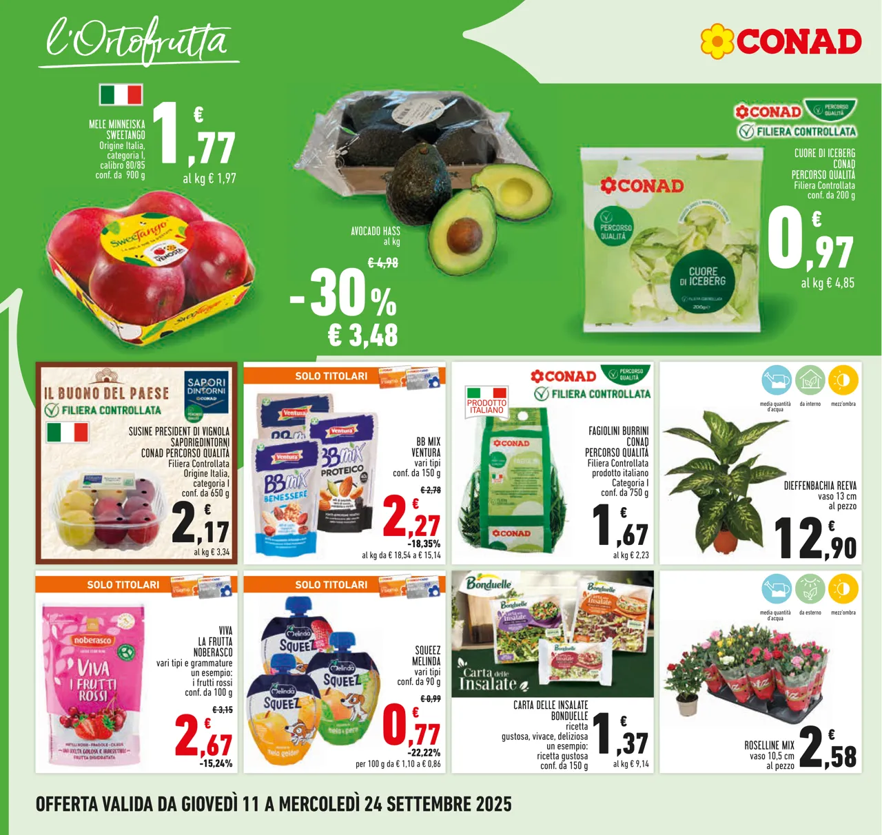 Pagina 6