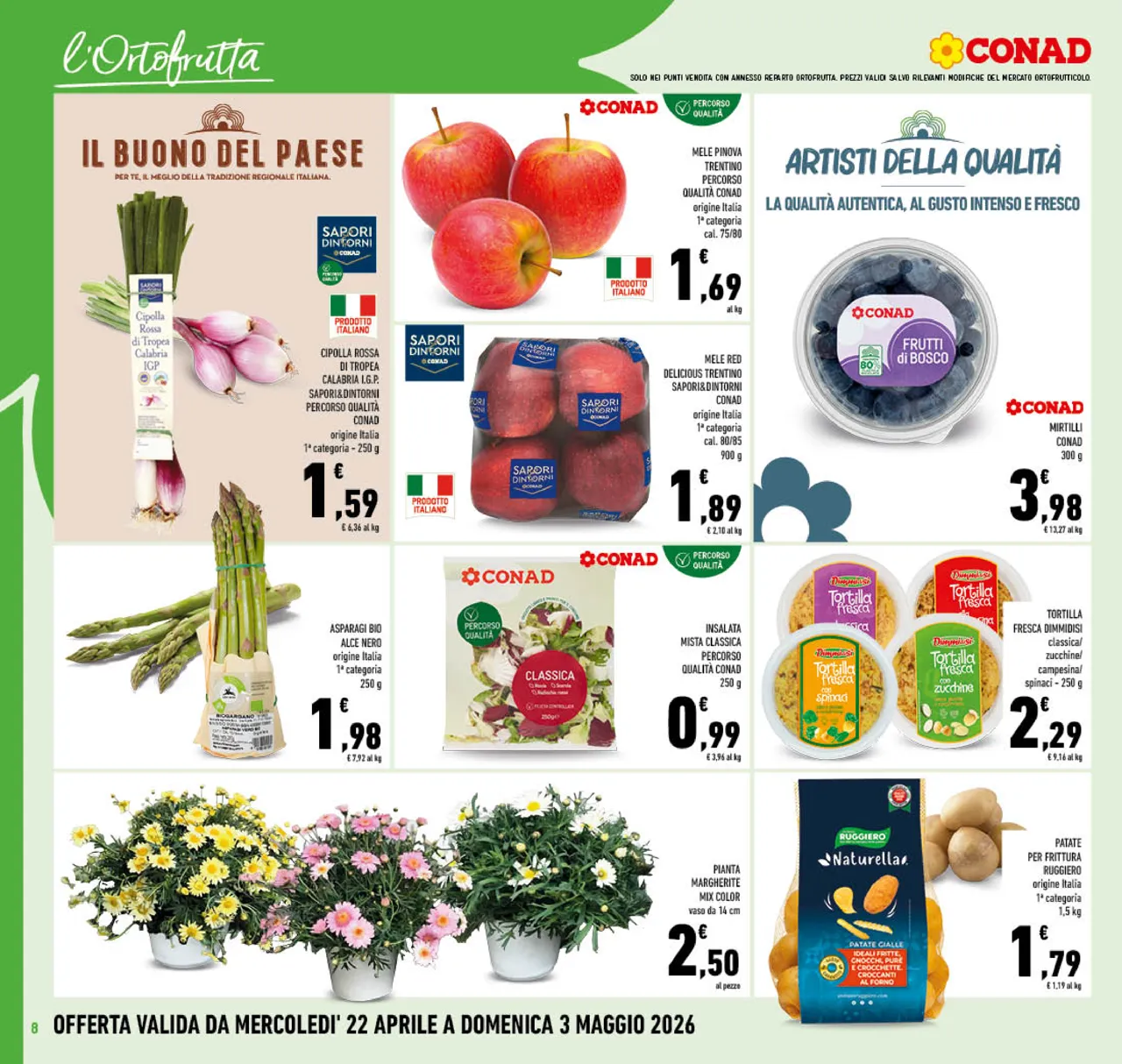 Pagina 8
