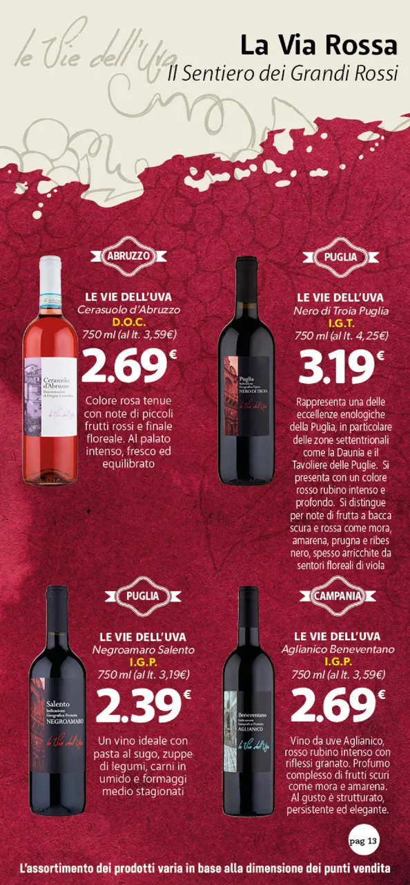 Pagina 13