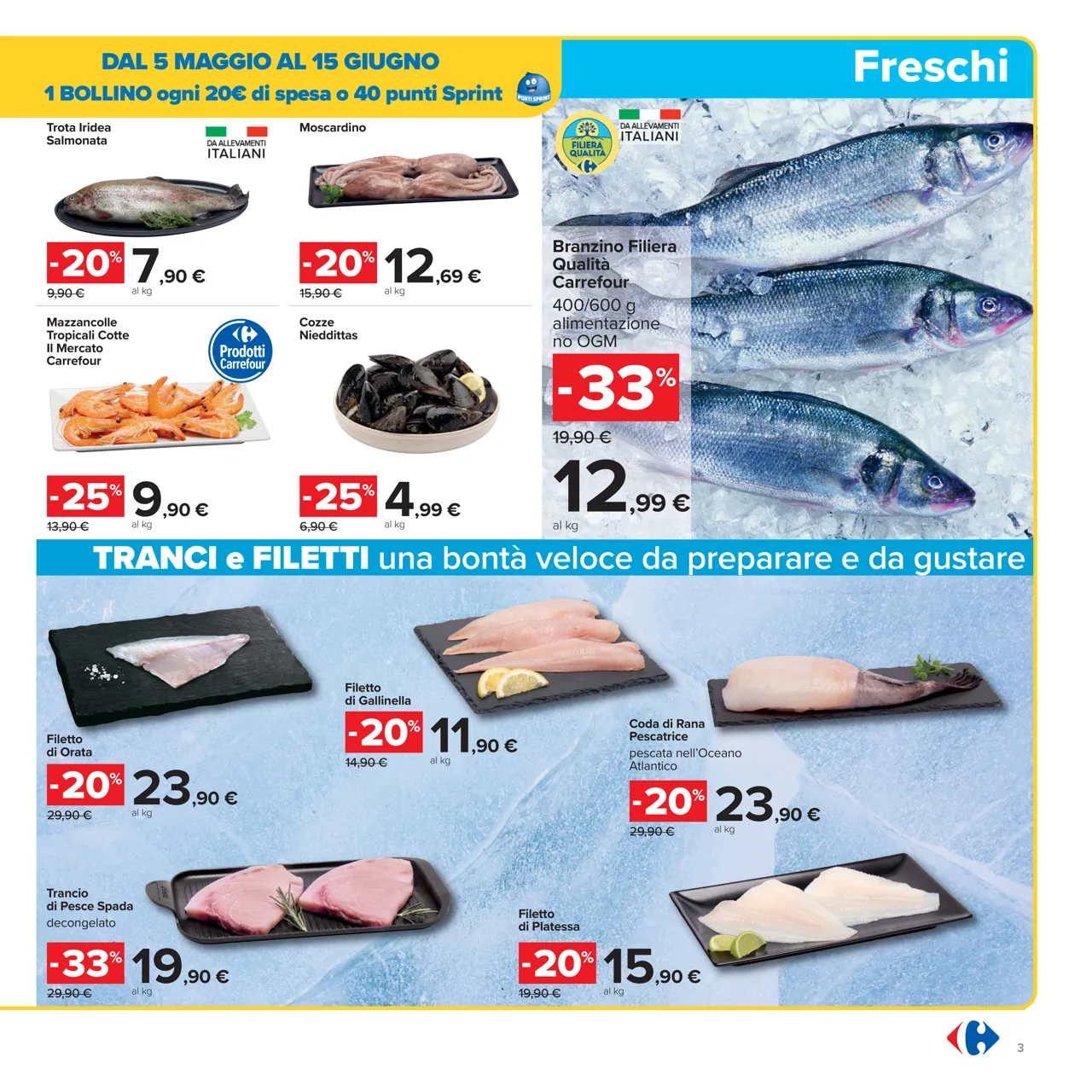 Pagina 3