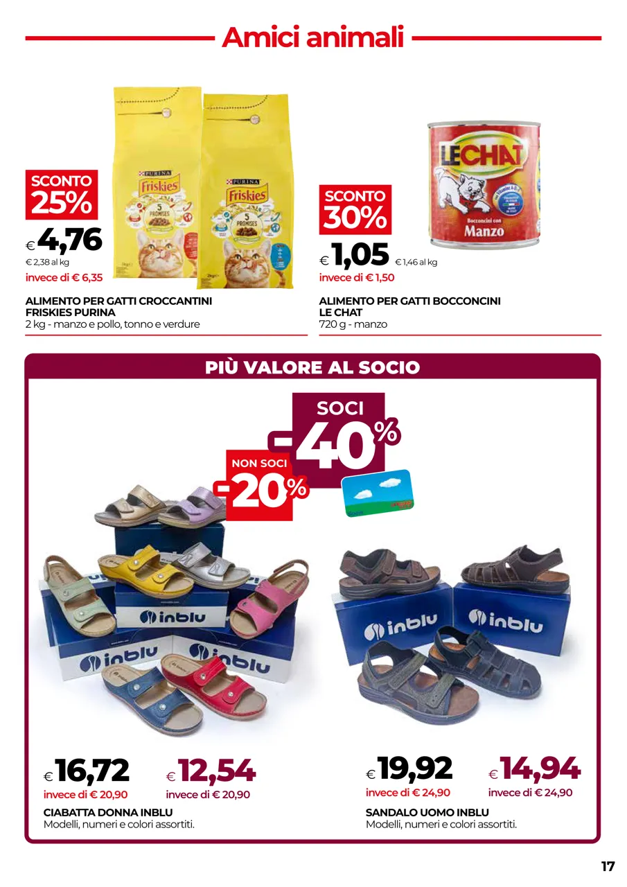 Pagina 17