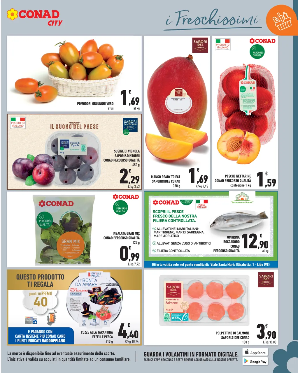 Pagina 7